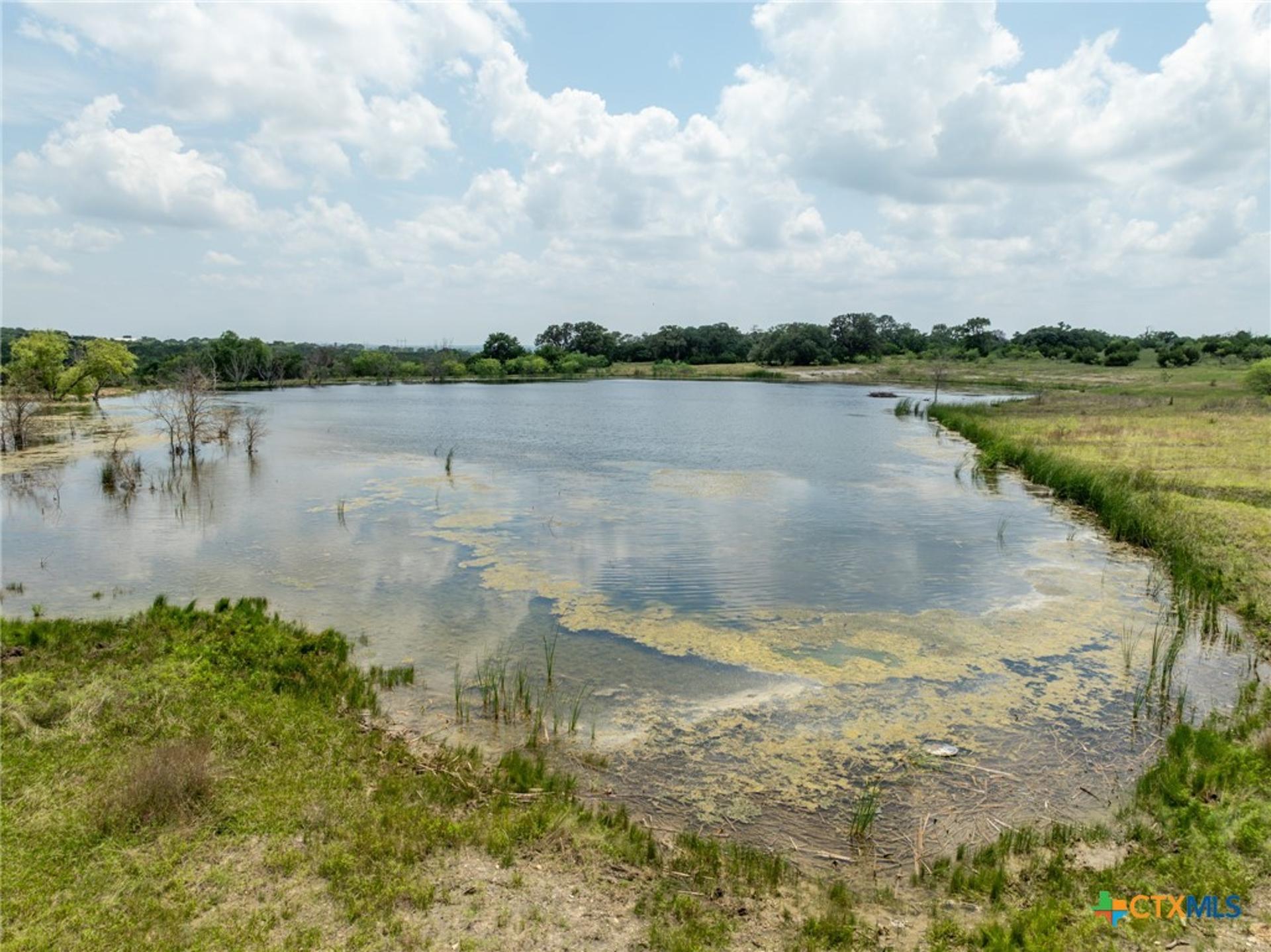 TBD Tx-36, Gatesville, TX, 76528