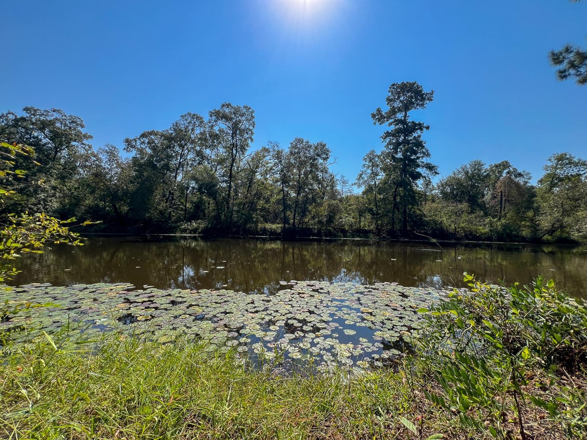 1 Off County Road 2925, Grapeland, TX, 75844