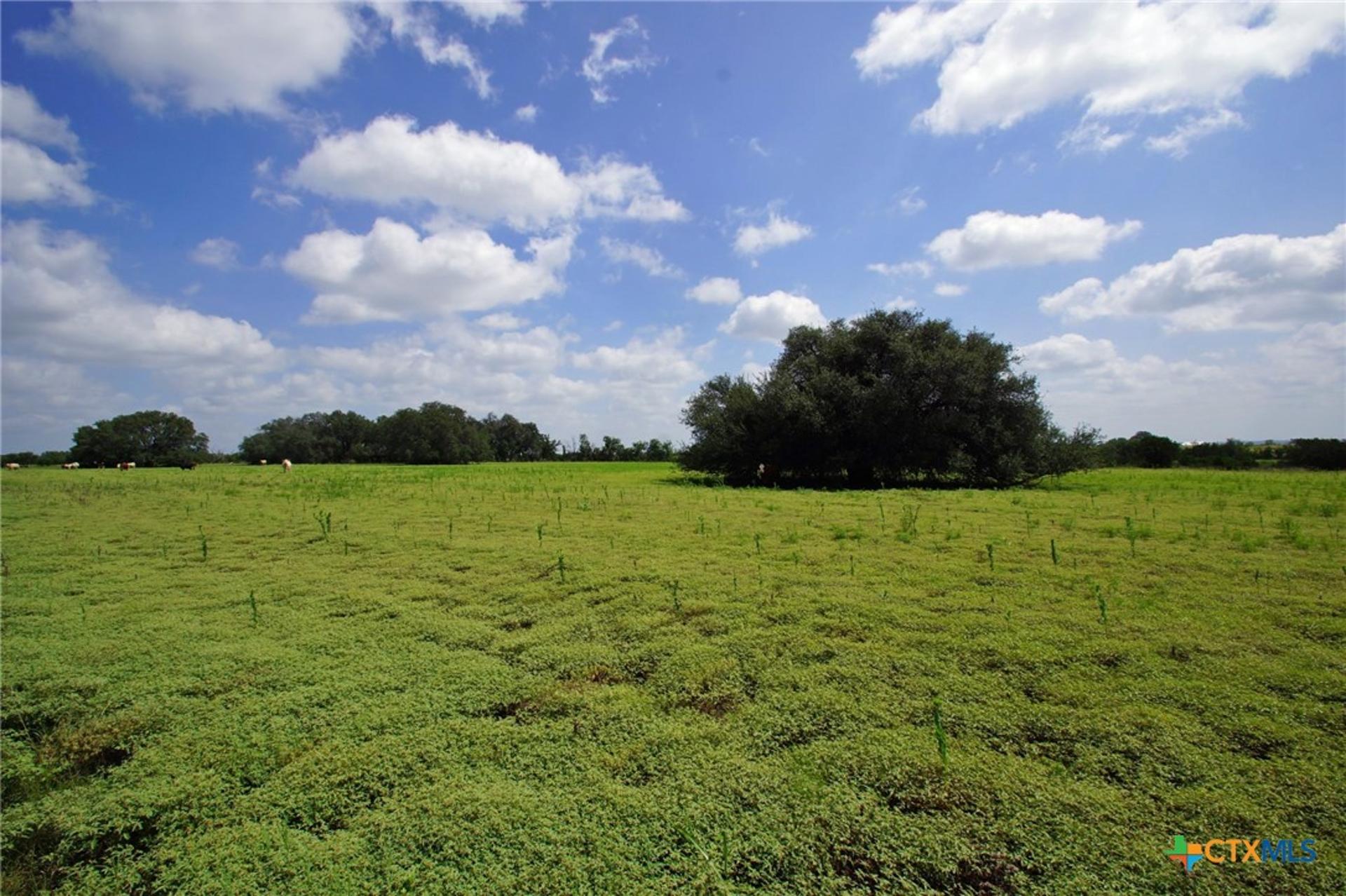 2002 County Road 276, Bertram, TX, 78605