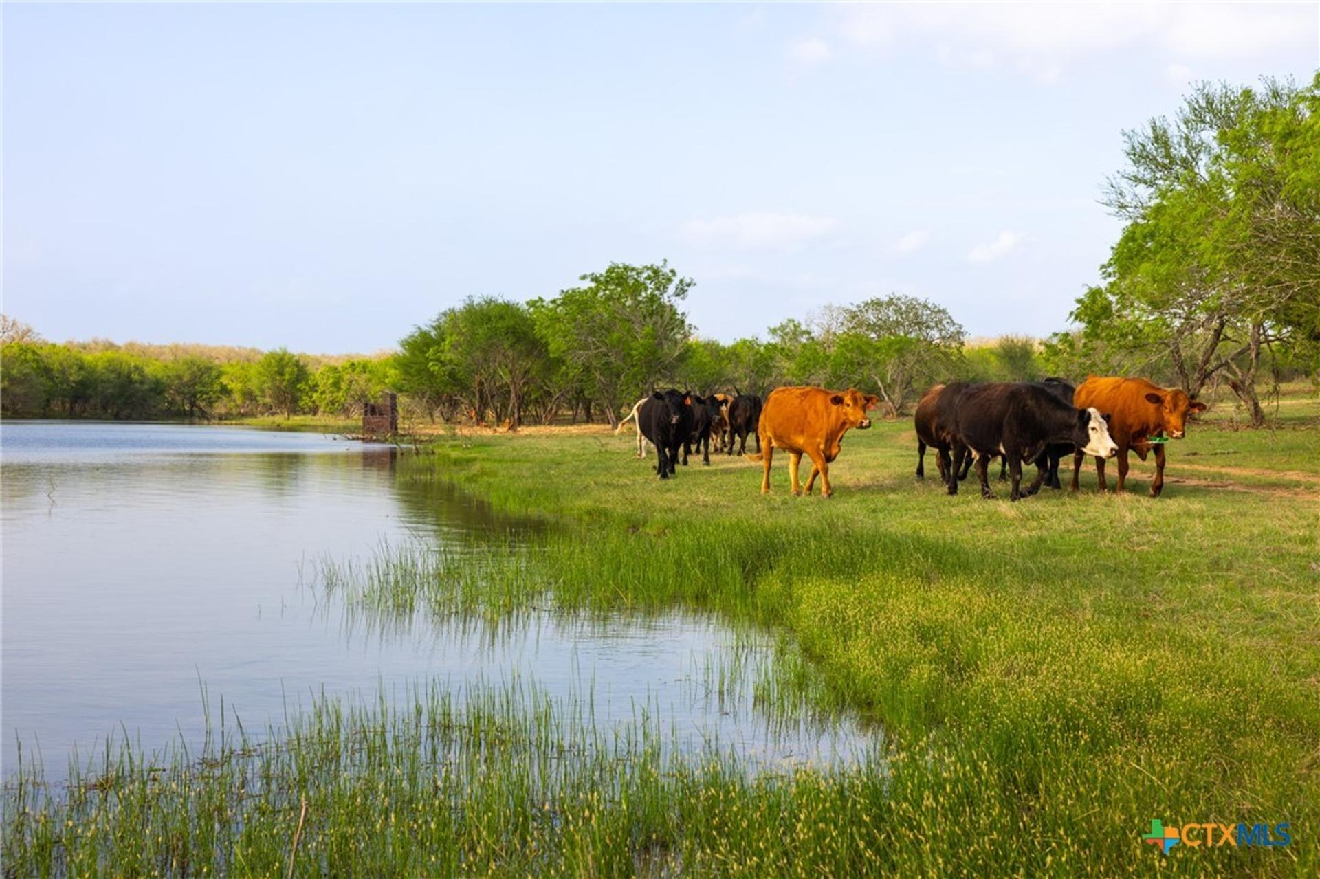 TBD 120 Acres Old Seguin Luling Road, Seguin, TX, 78155
