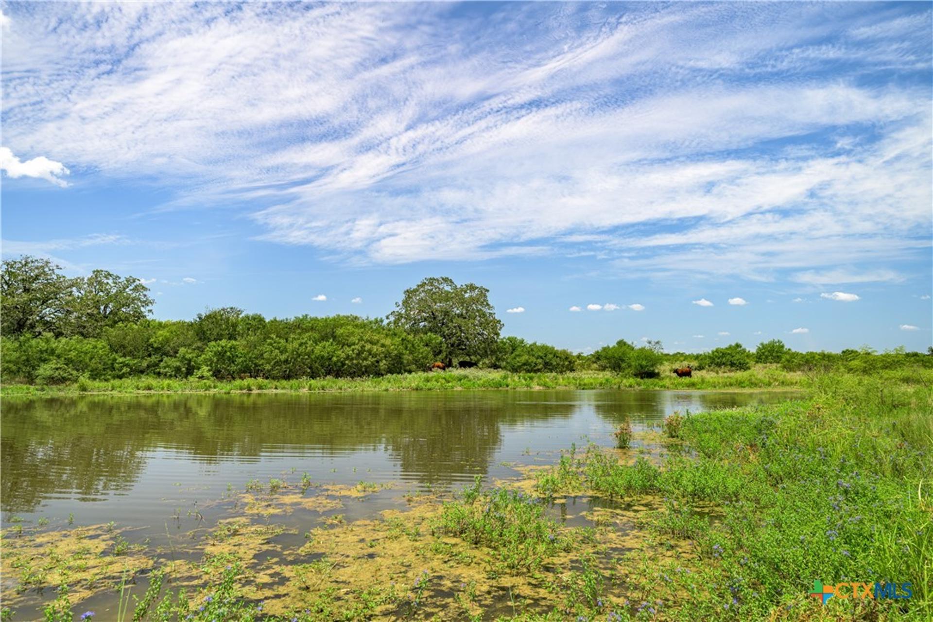 6144 Fm-2237, Flatonia, TX, 78941