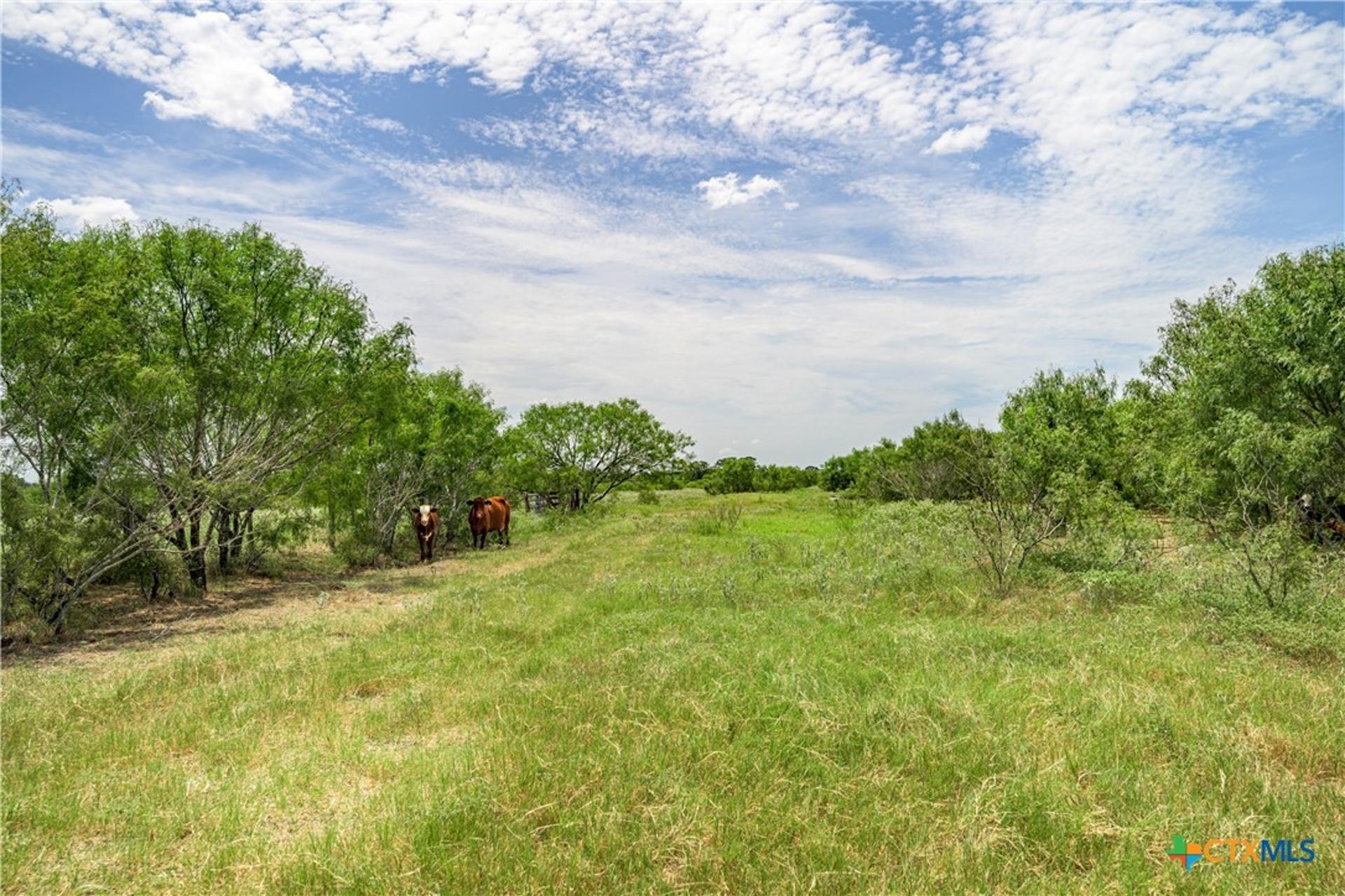 6144 Fm-2237, Flatonia, TX, 78941