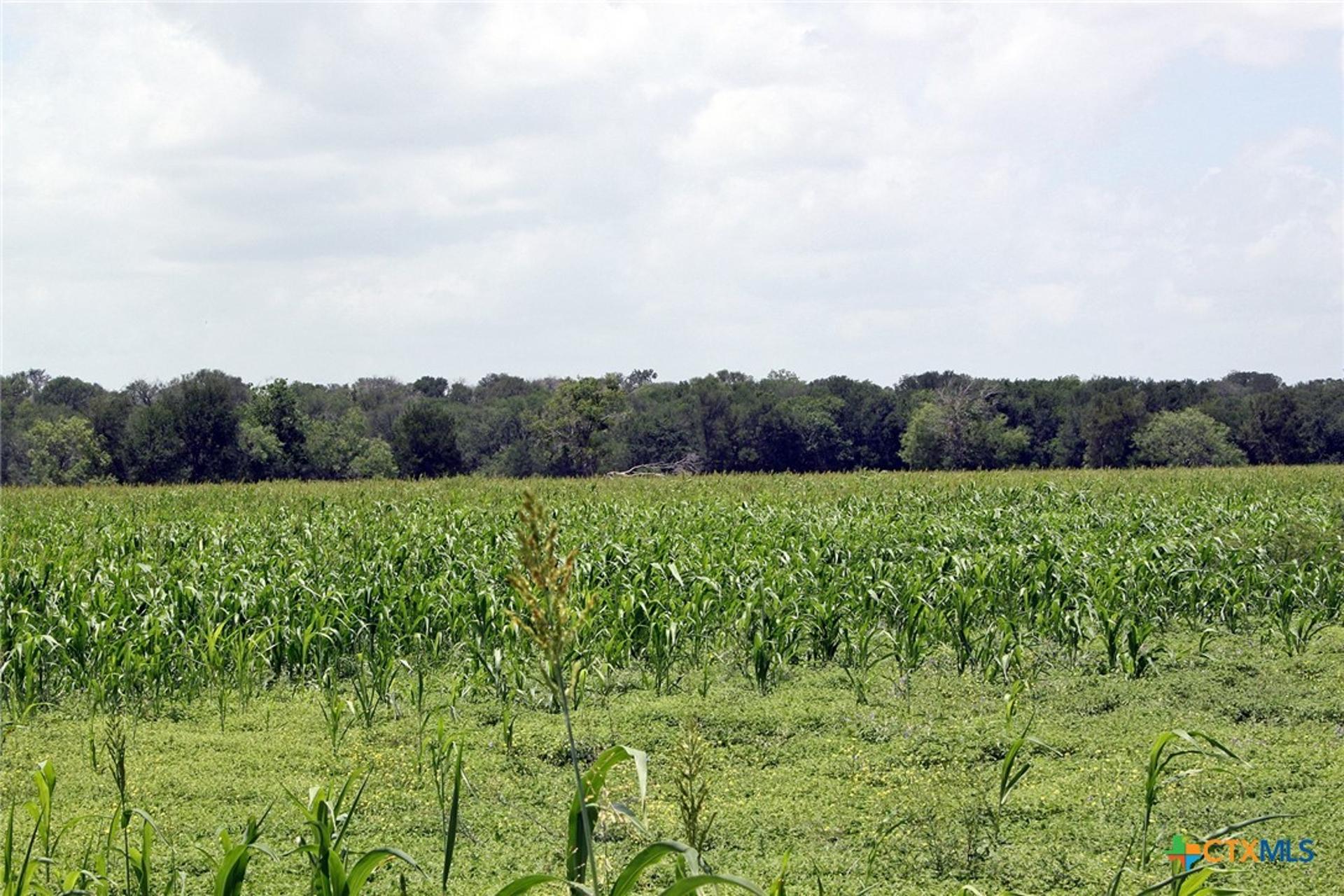 9411 Fm-86, Lockhart, TX, 78644