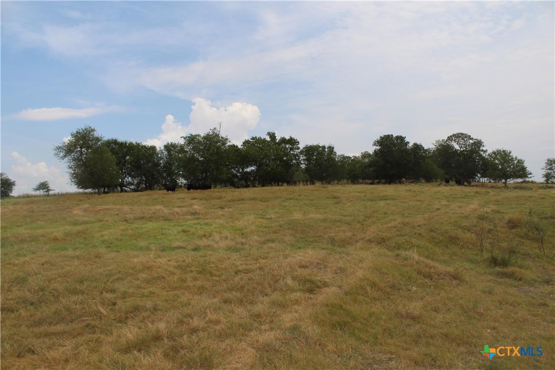 TBA County Road 417, Taylor, TX, 76574