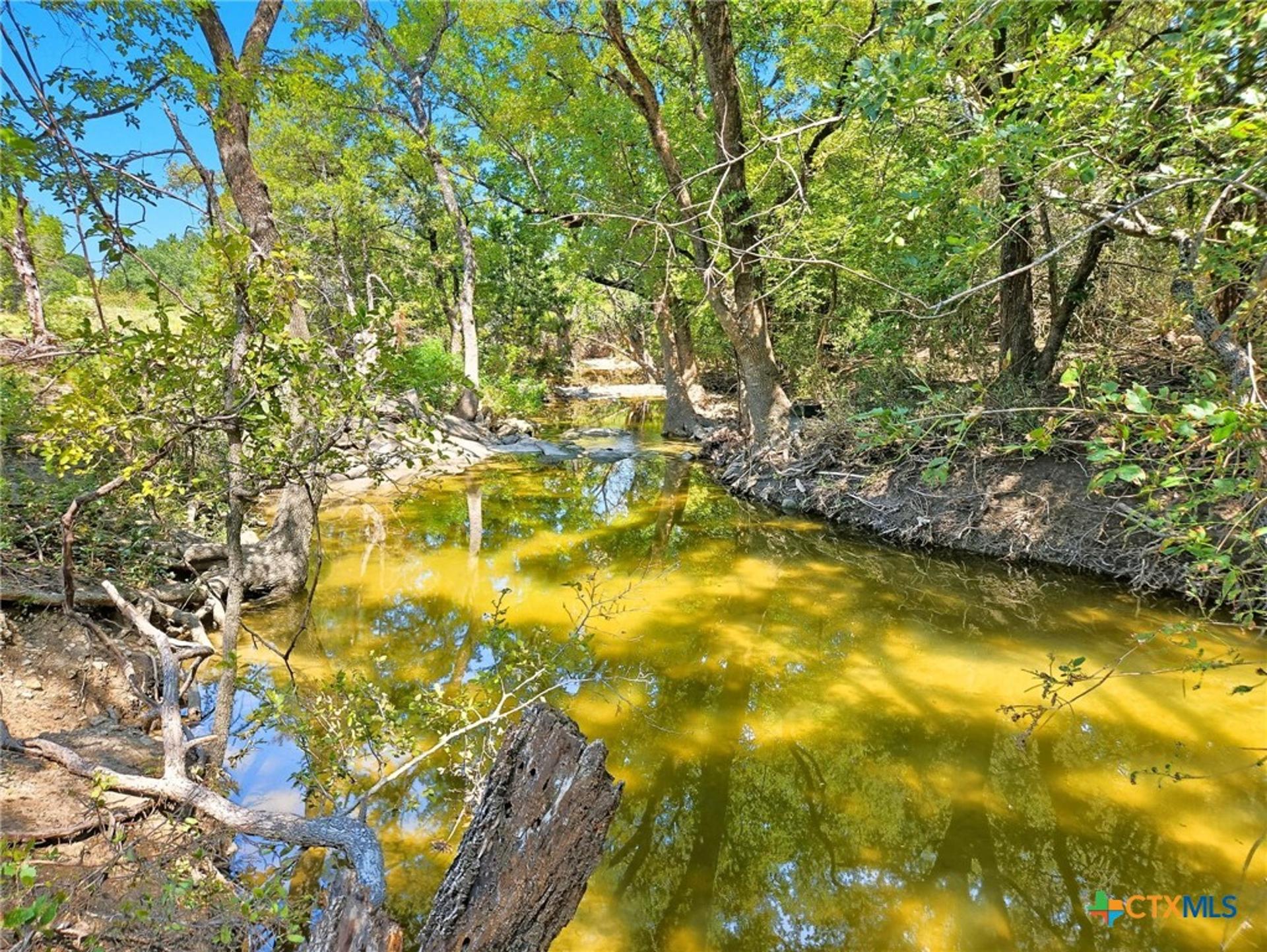 TBD-176 Acres FM 116, Gatesville, TX, 76528