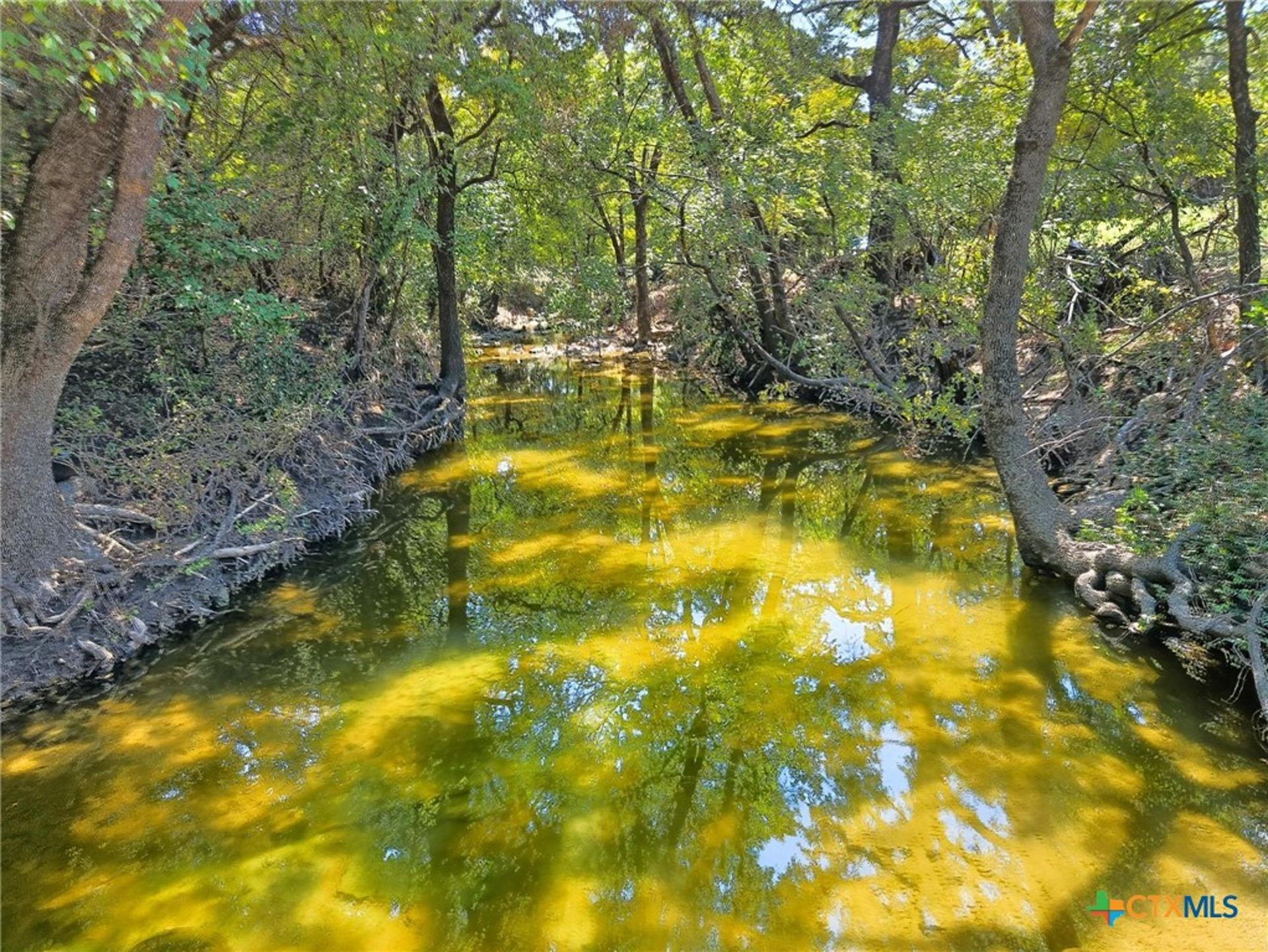 TBD-176 Acres FM 116, Gatesville, TX, 76528
