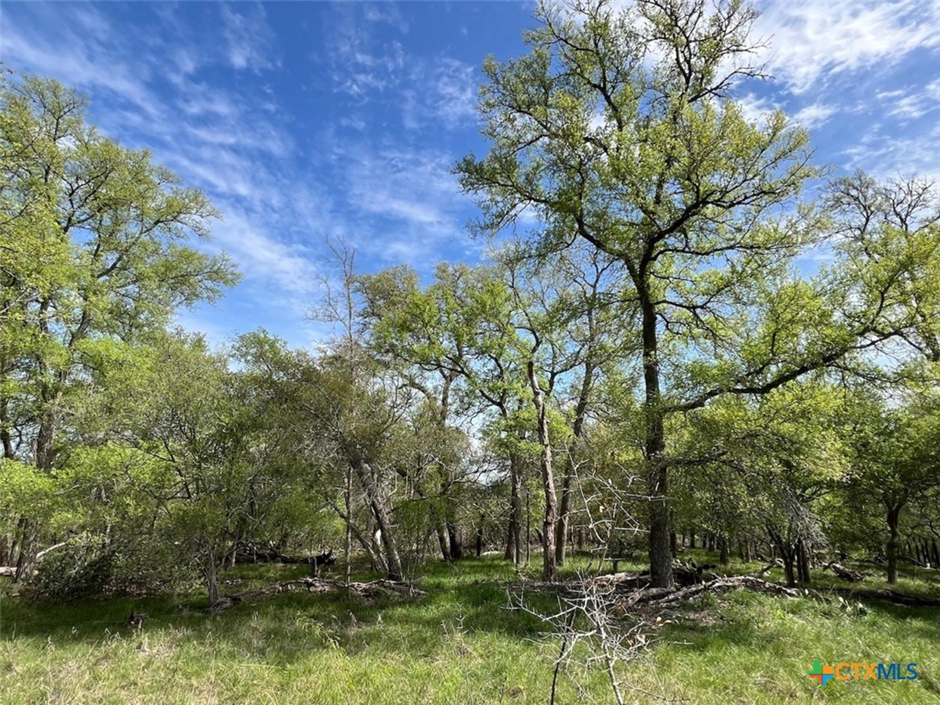 TBD Cunningham, Lockhart, TX, 78648