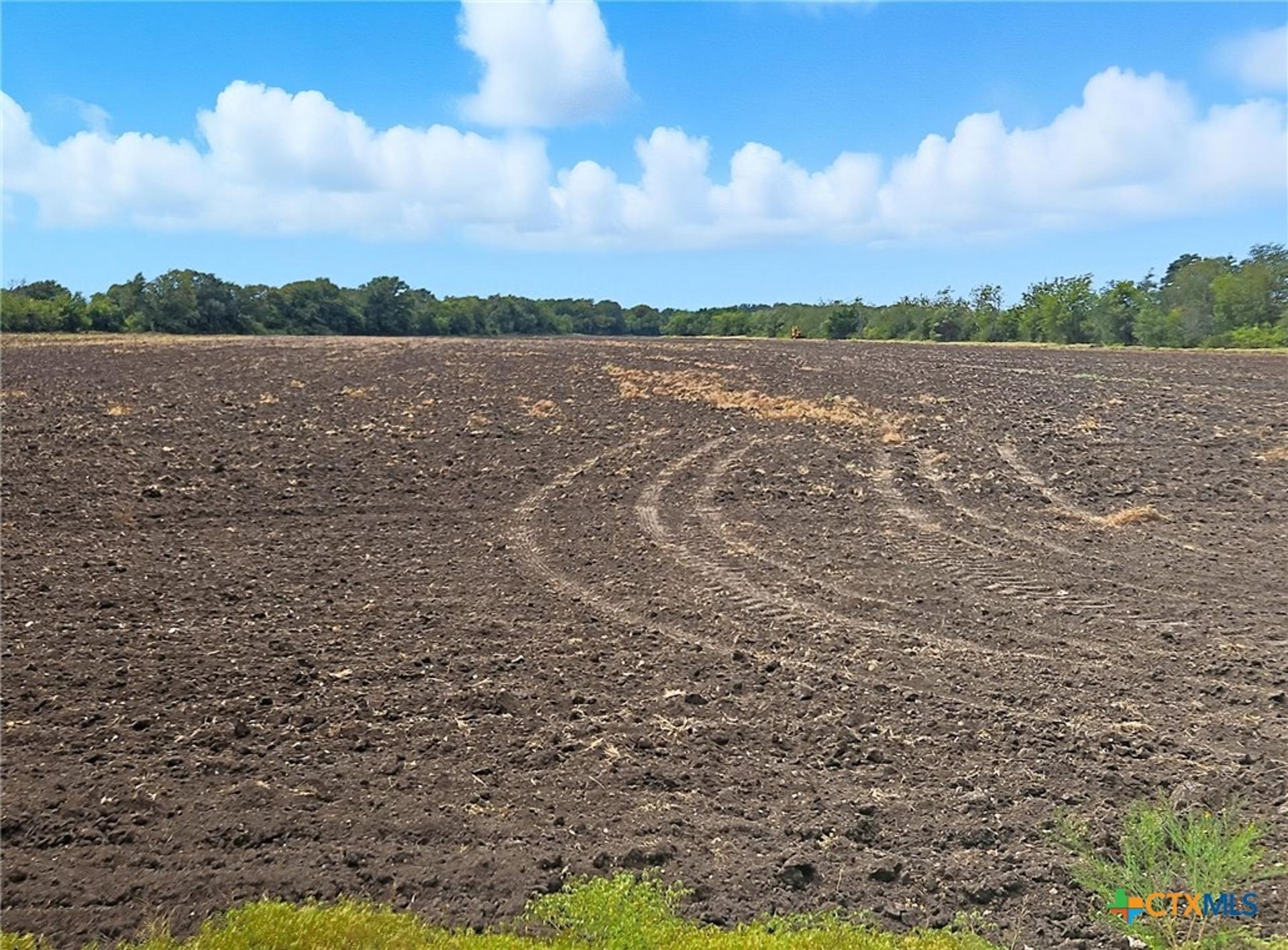 TBD-482 Acres W Fm 217, Jonesboro, TX, 76538