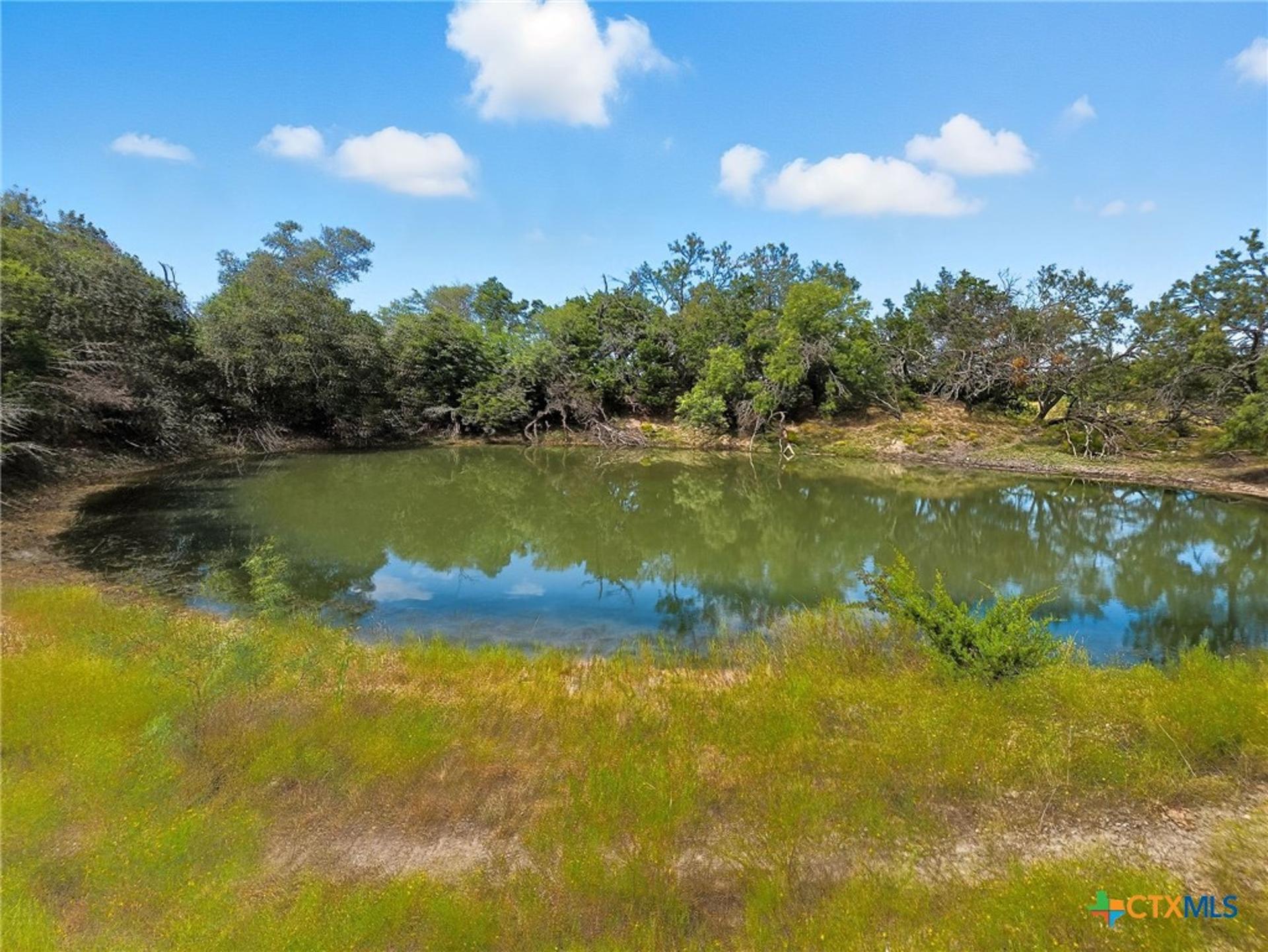 TBD-482 Acres W Fm 217, Jonesboro, TX, 76538