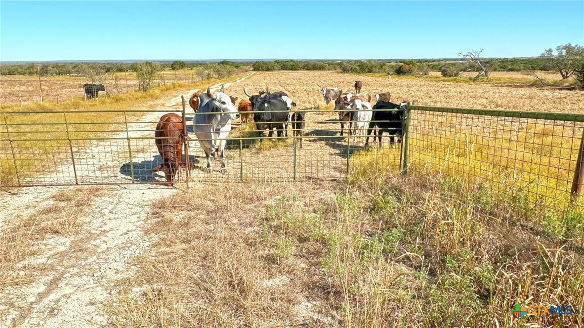 4060 County Road 3270, Kempner, TX, 76539