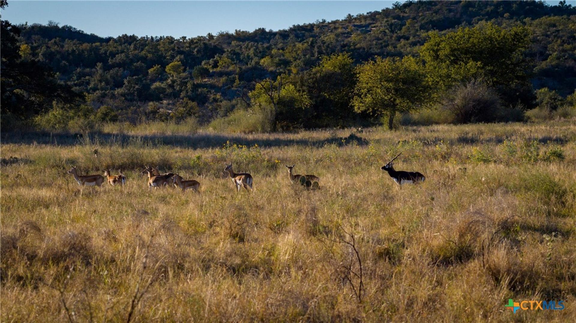7702 Ranch Road 965, Llano, TX, 78643