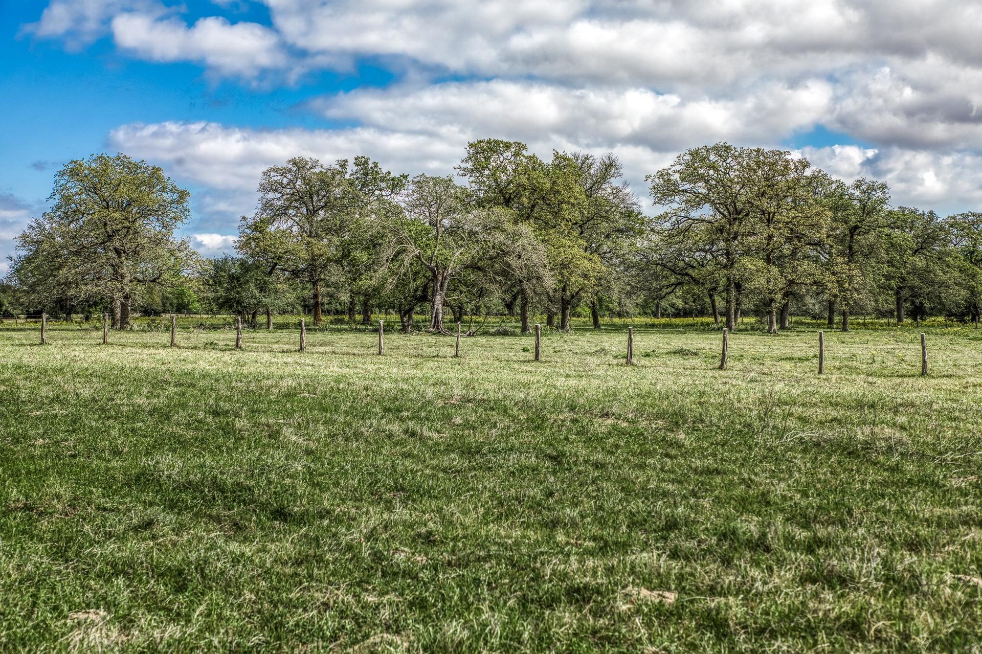 11320 County Road 343, Caldwell, TX, 77836