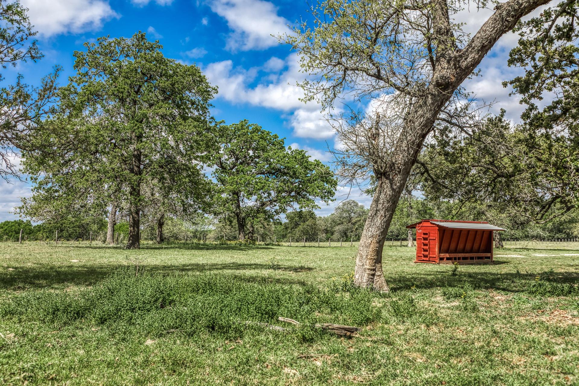 11320 County Road 343, Caldwell, TX, 77836