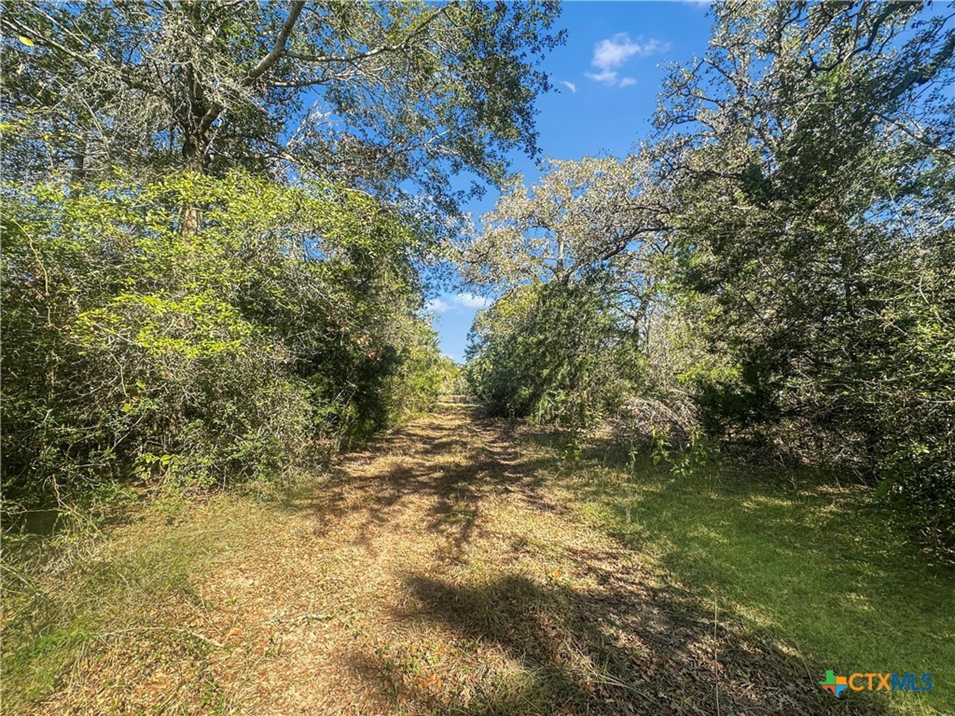 2845 Boehnke, Flatonia, TX, 78949