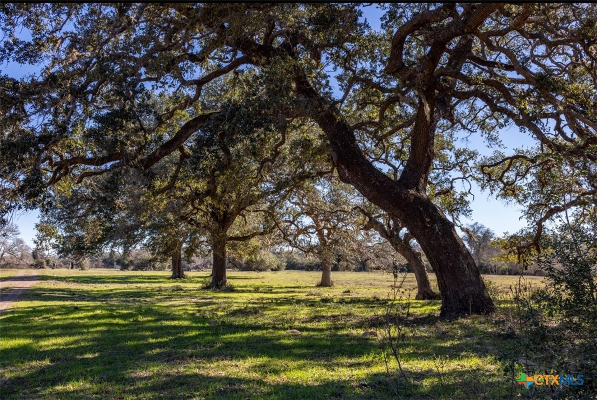 000 County Road 284, Edna, TX, 77957