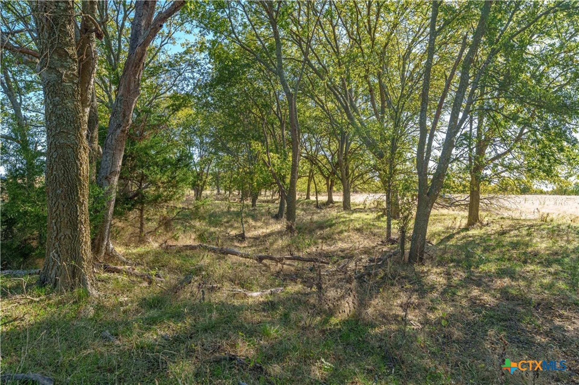 1633 Alexander, Moody, TX, 76557