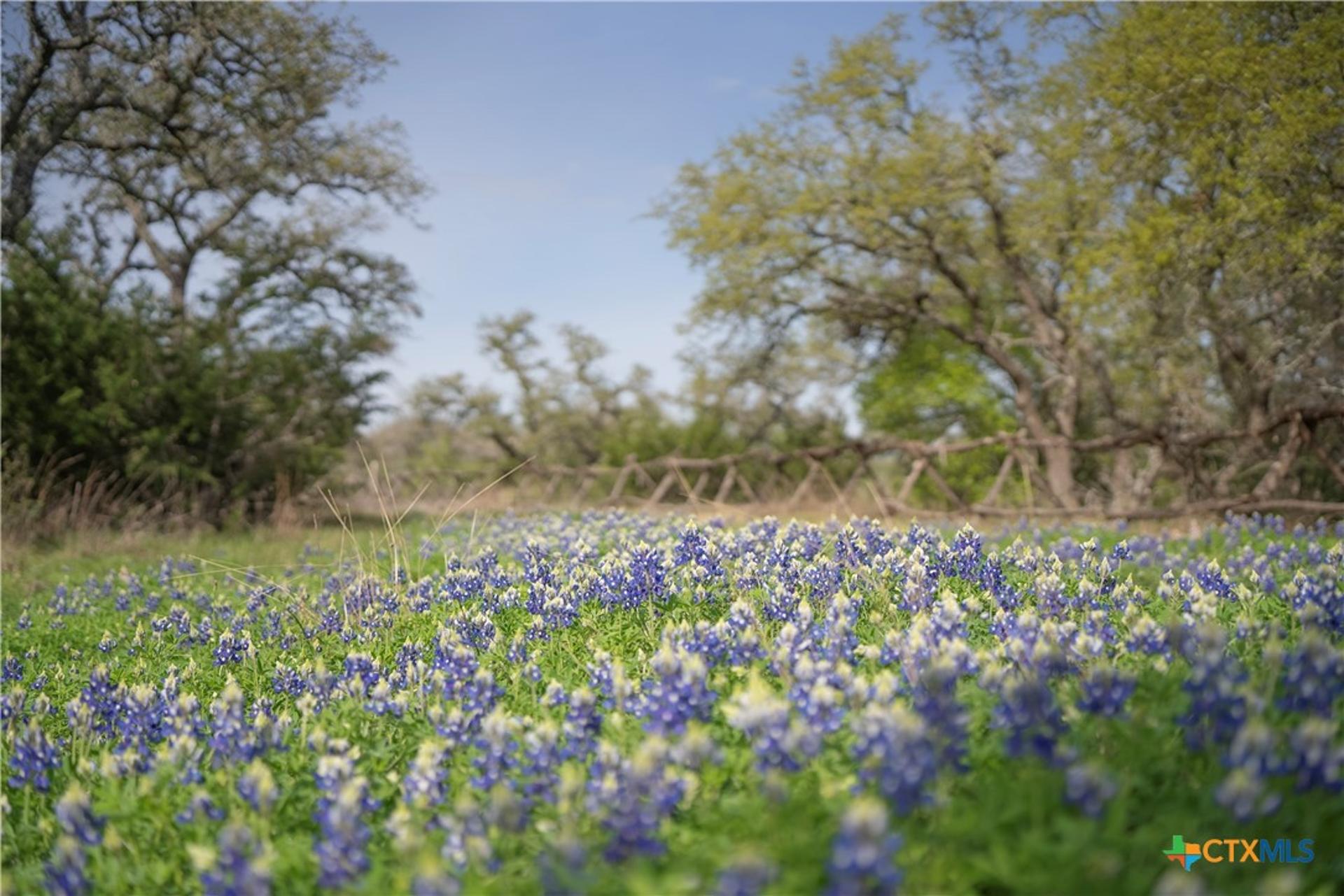 TBD Bell Springs, Dripping Springs, TX, 78620