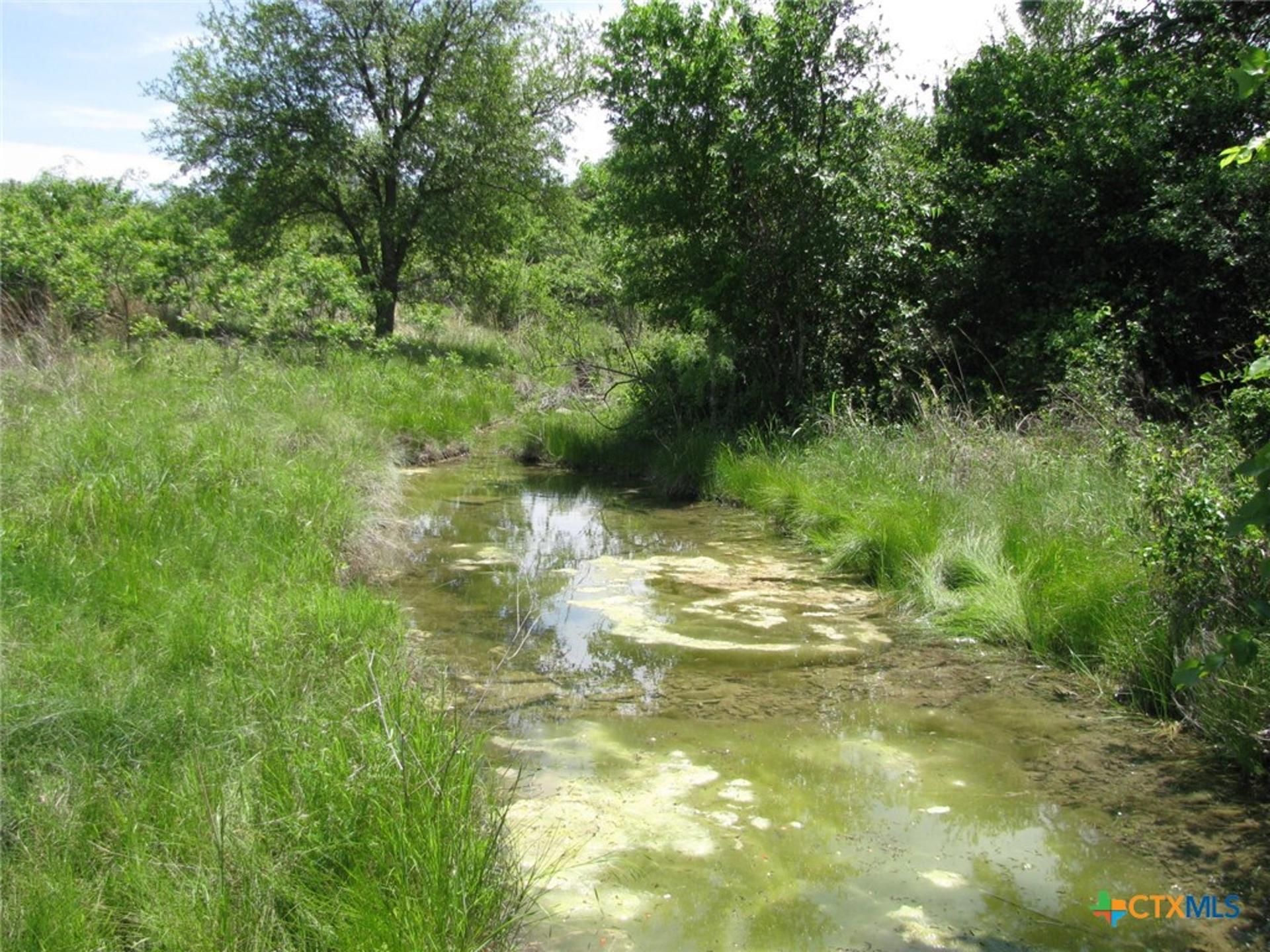TBD FM 2842, Hamilton, TX, 76531