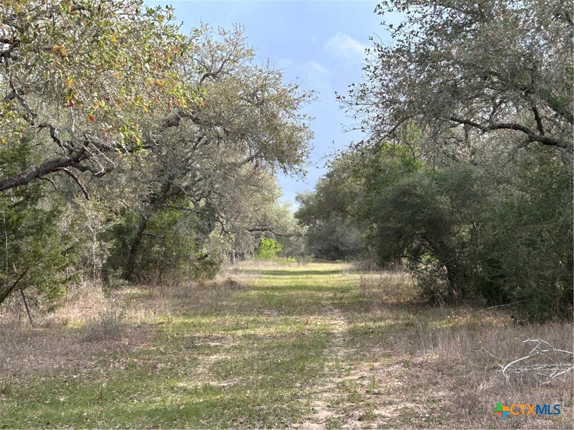 1022 County Road 438, Yoakum, TX, 77995