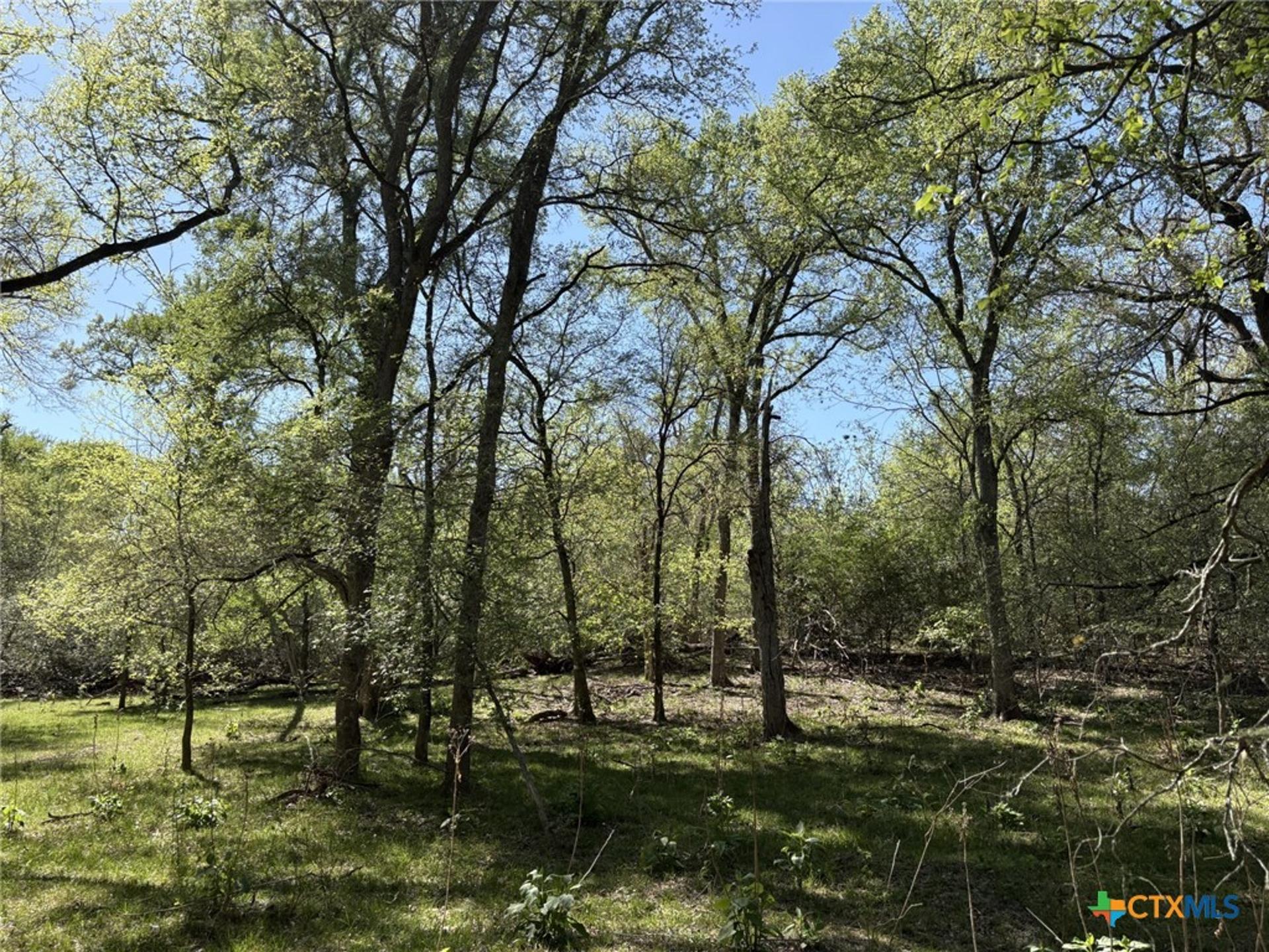 0 Anchor Ranch, Flatonia, TX, 78941