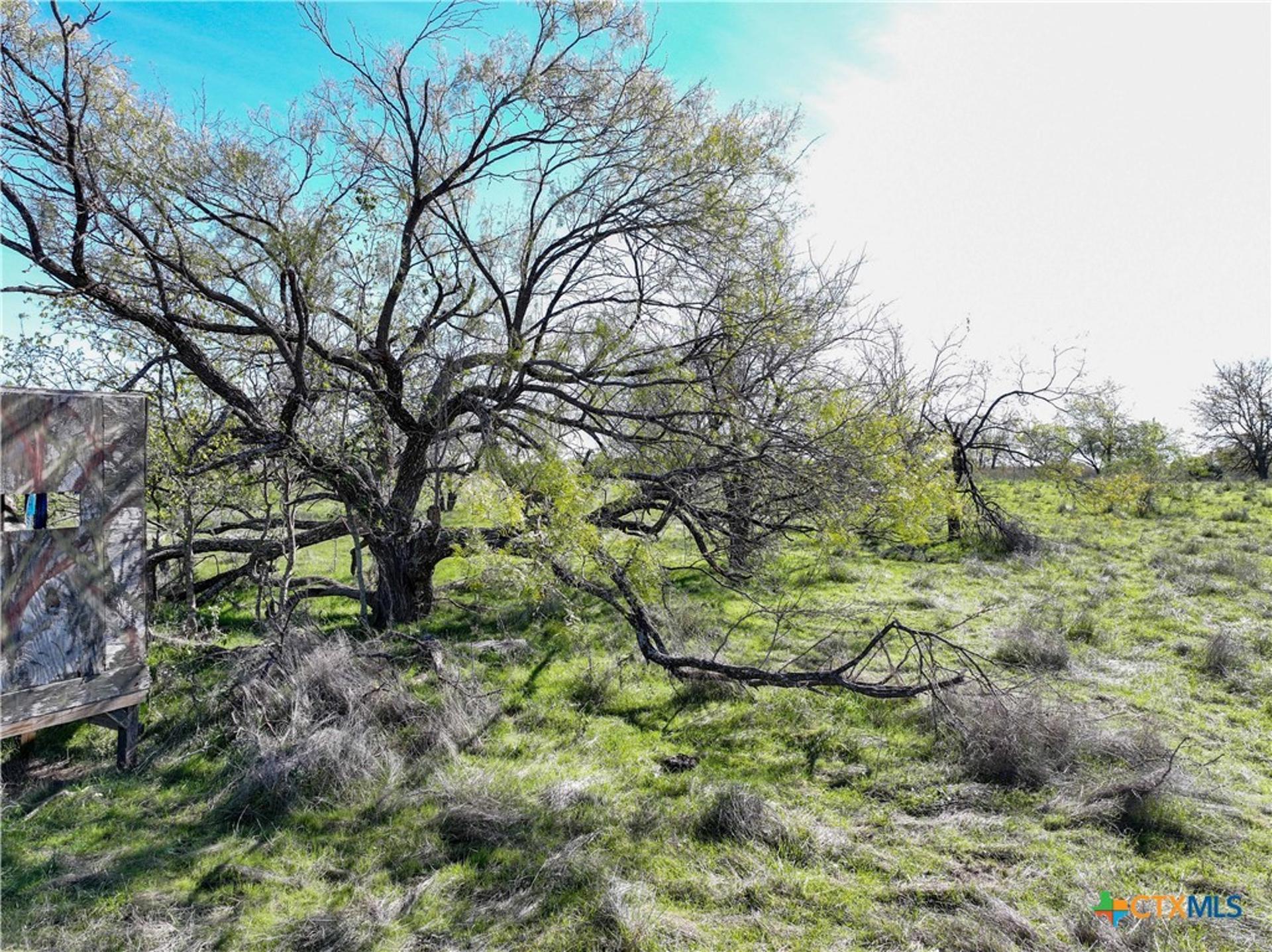 TBD Prairie Dell, Salado, TX, 76571