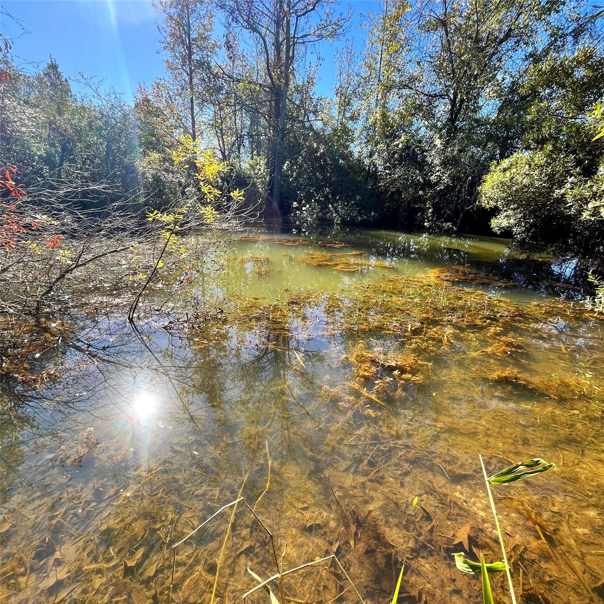 12124 County Road 122, Centerville, TX, 75833