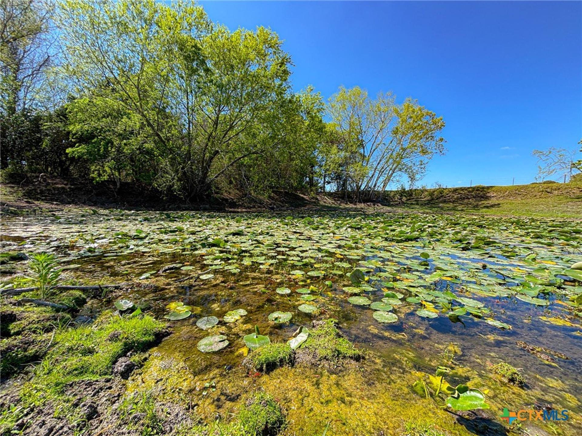 1037 County Road 340, Shiner, TX, 77984