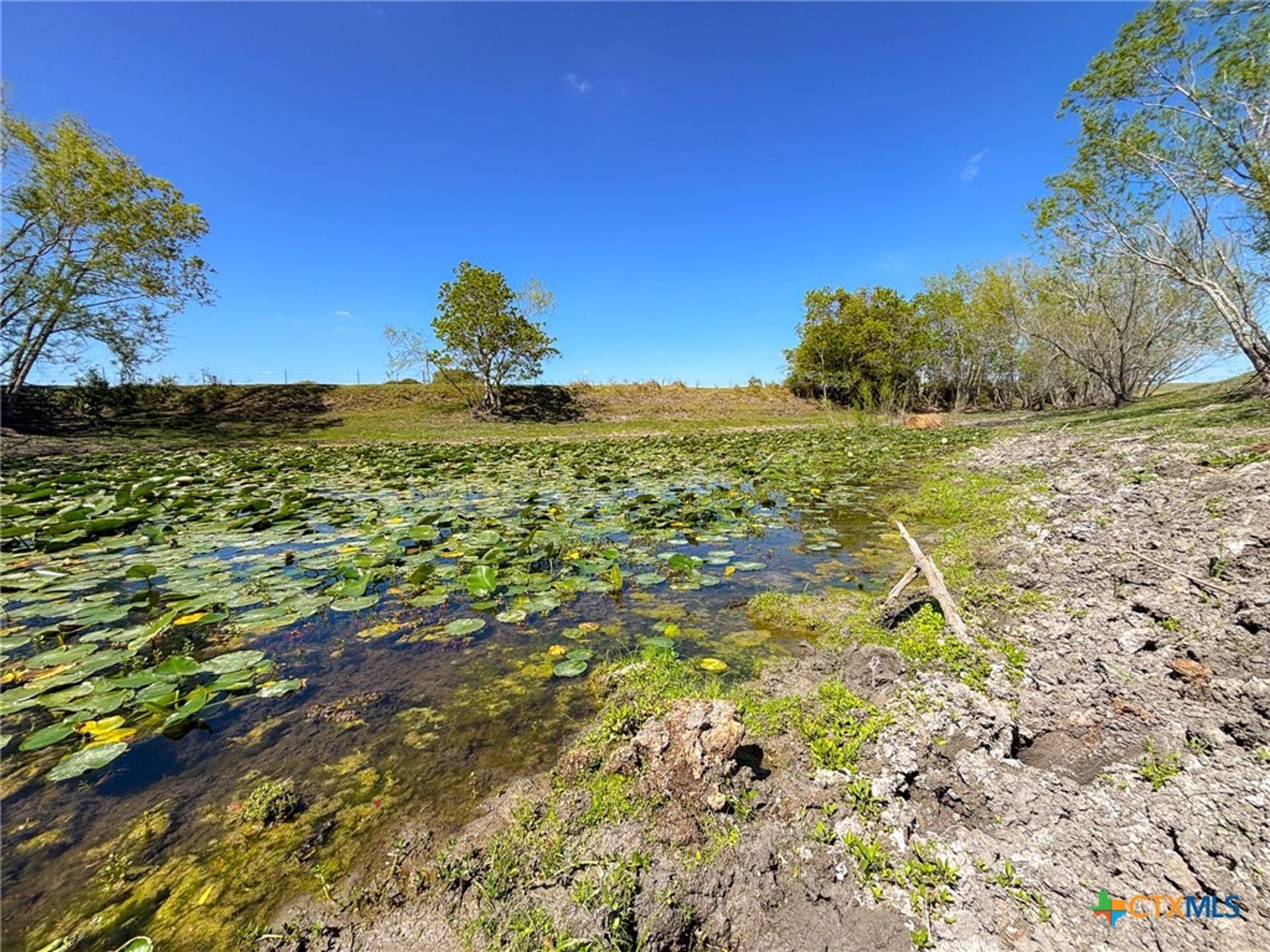 1037 County Road 340, Shiner, TX, 77984