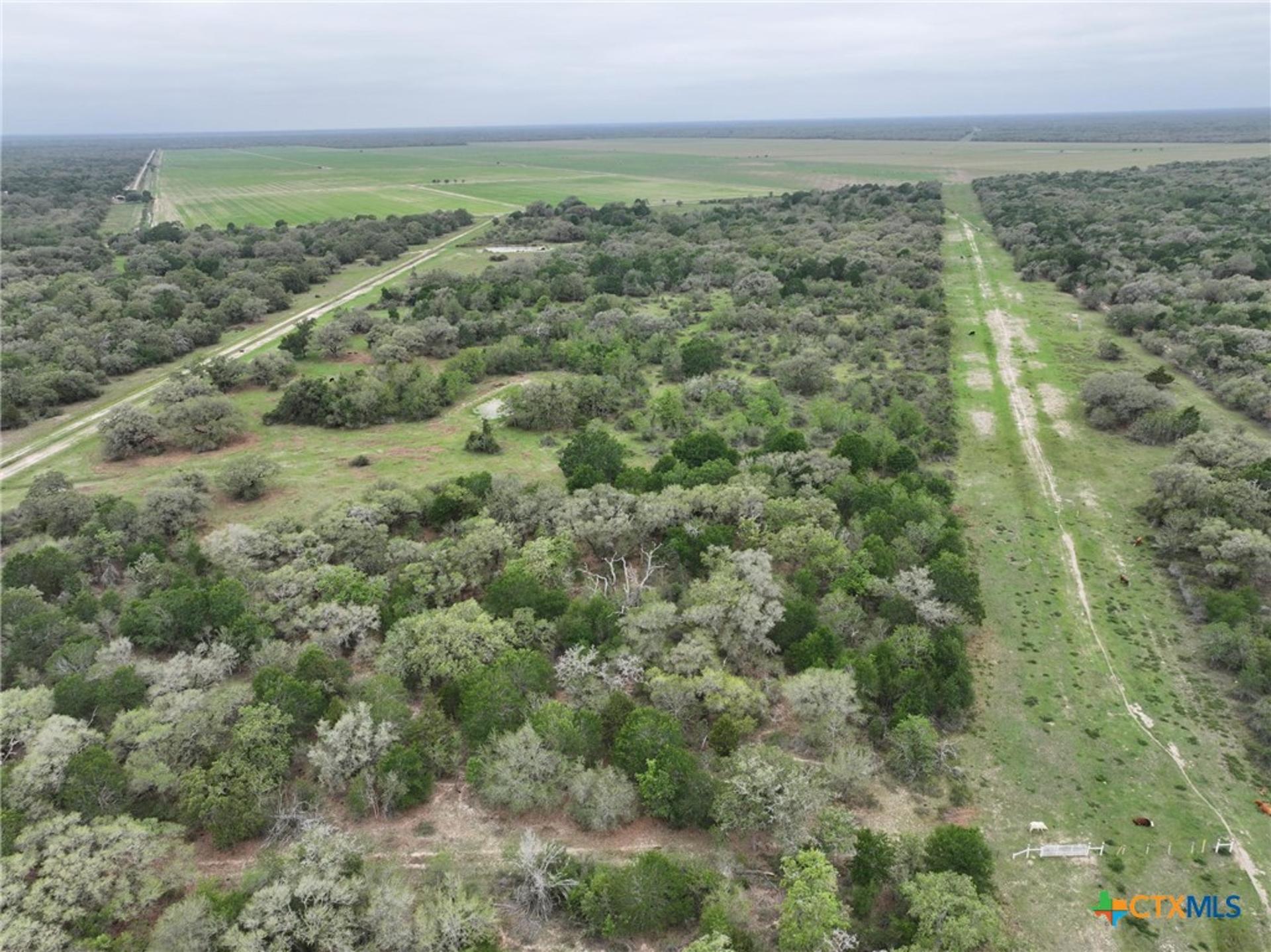 10772 State Highway 111, Edna, TX, 77957