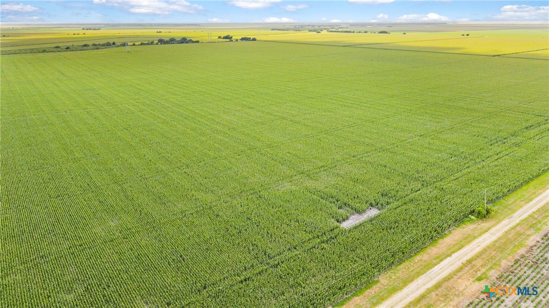1373 County Road 444, Louise, TX, 77455