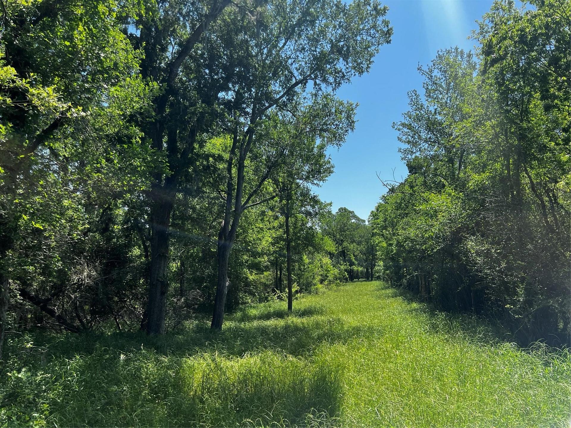 0 Meyer RD, San Felipe, TX, 77474