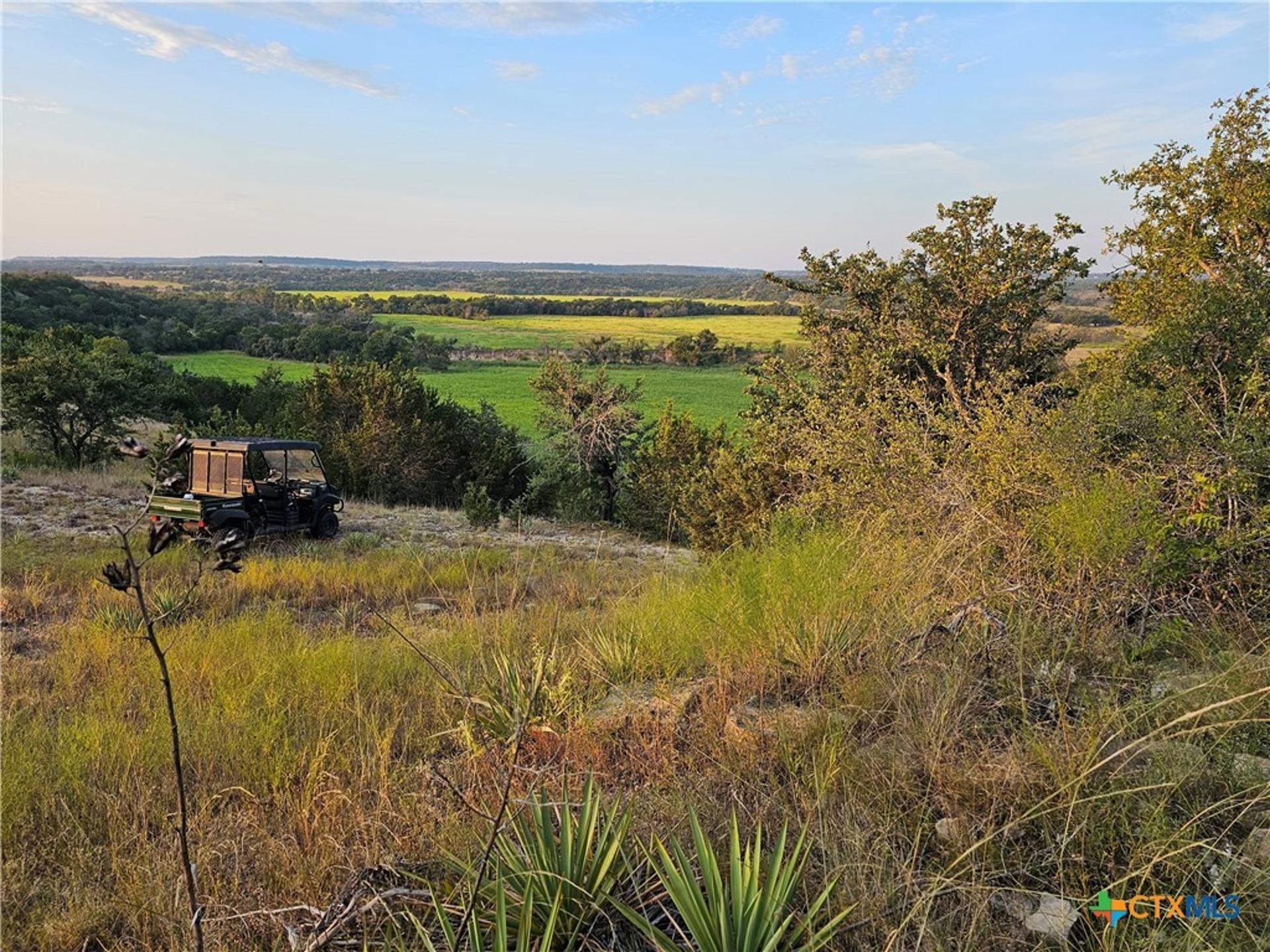 TBD-End Bunnell, Purmela, TX, 76566