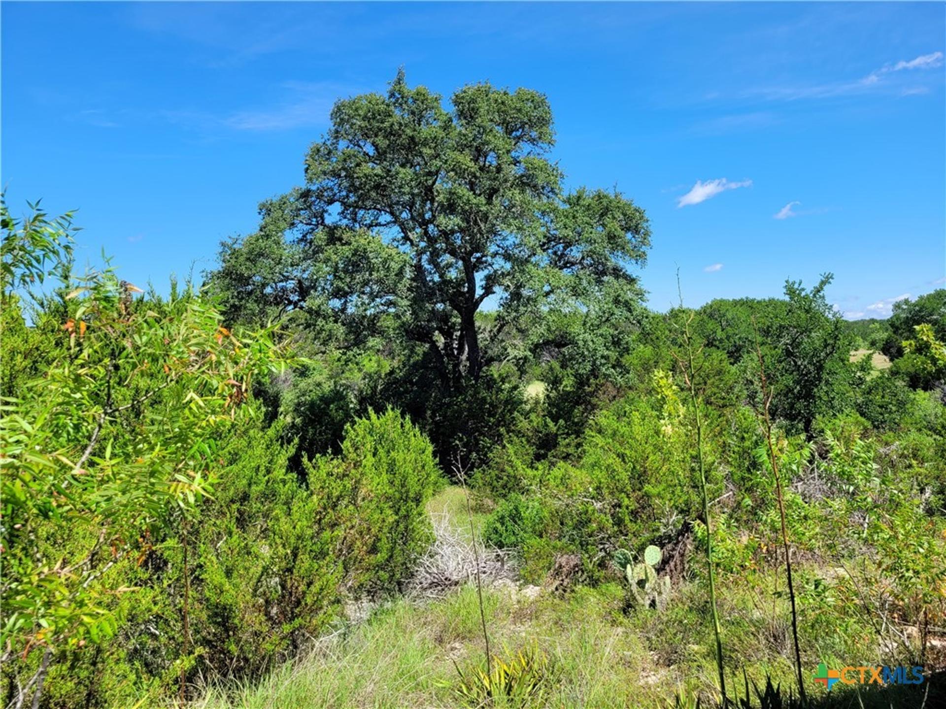 TBD CR 1139 575 Acres, Lampasas, TX, 76550