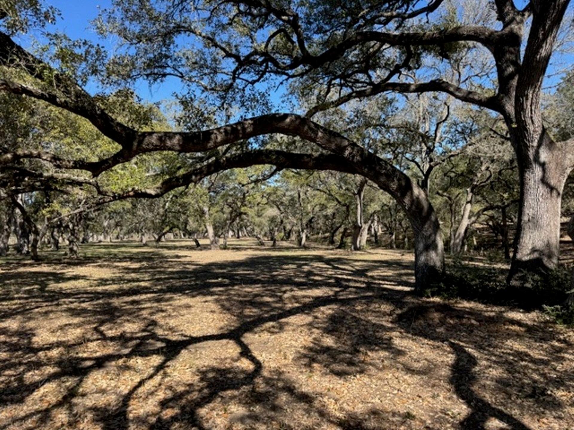 TBD Wolters and Kainer, Schulenburg, TX, 78956