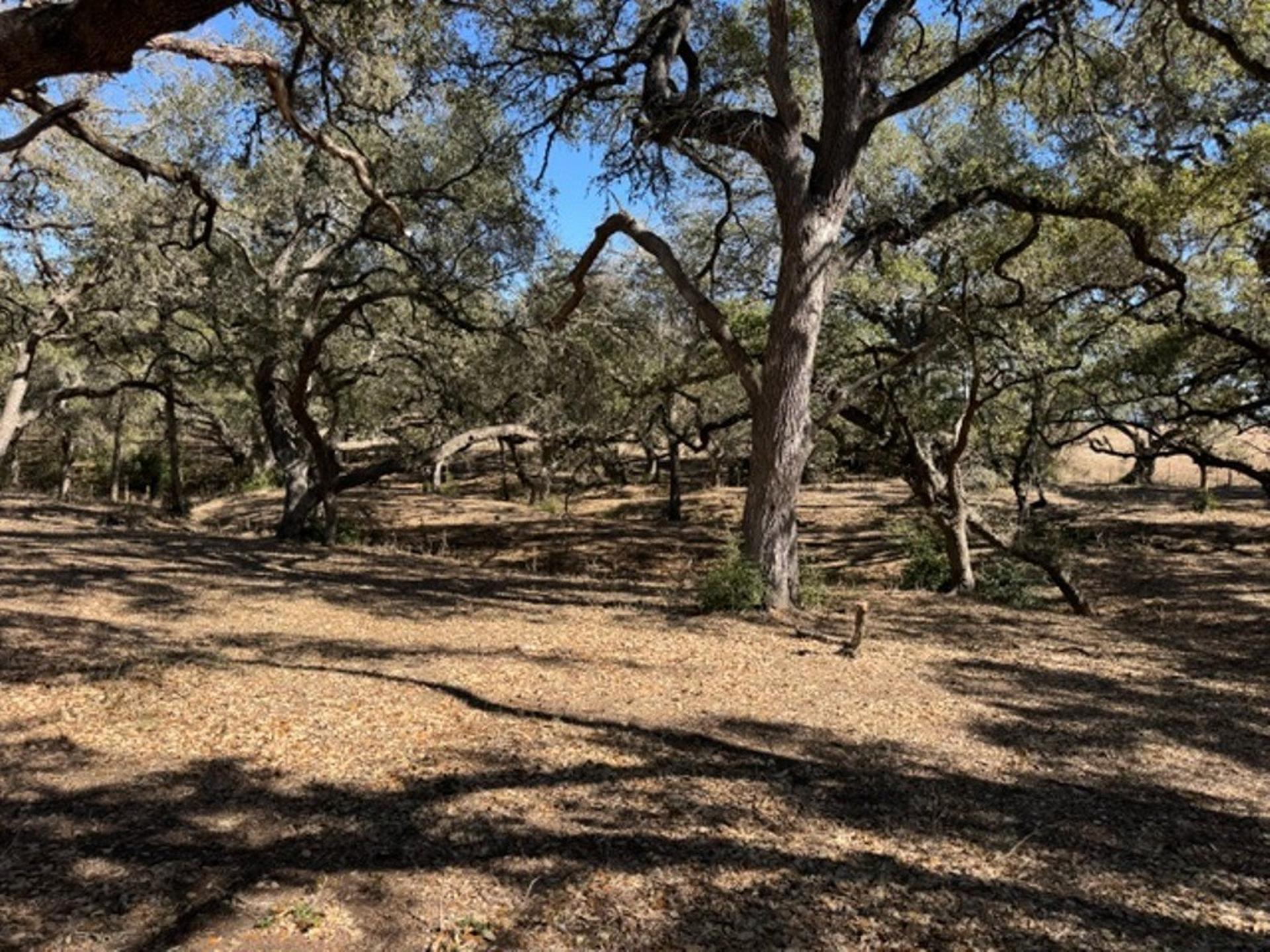 TBD Wolters and Kainer, Schulenburg, TX, 78956