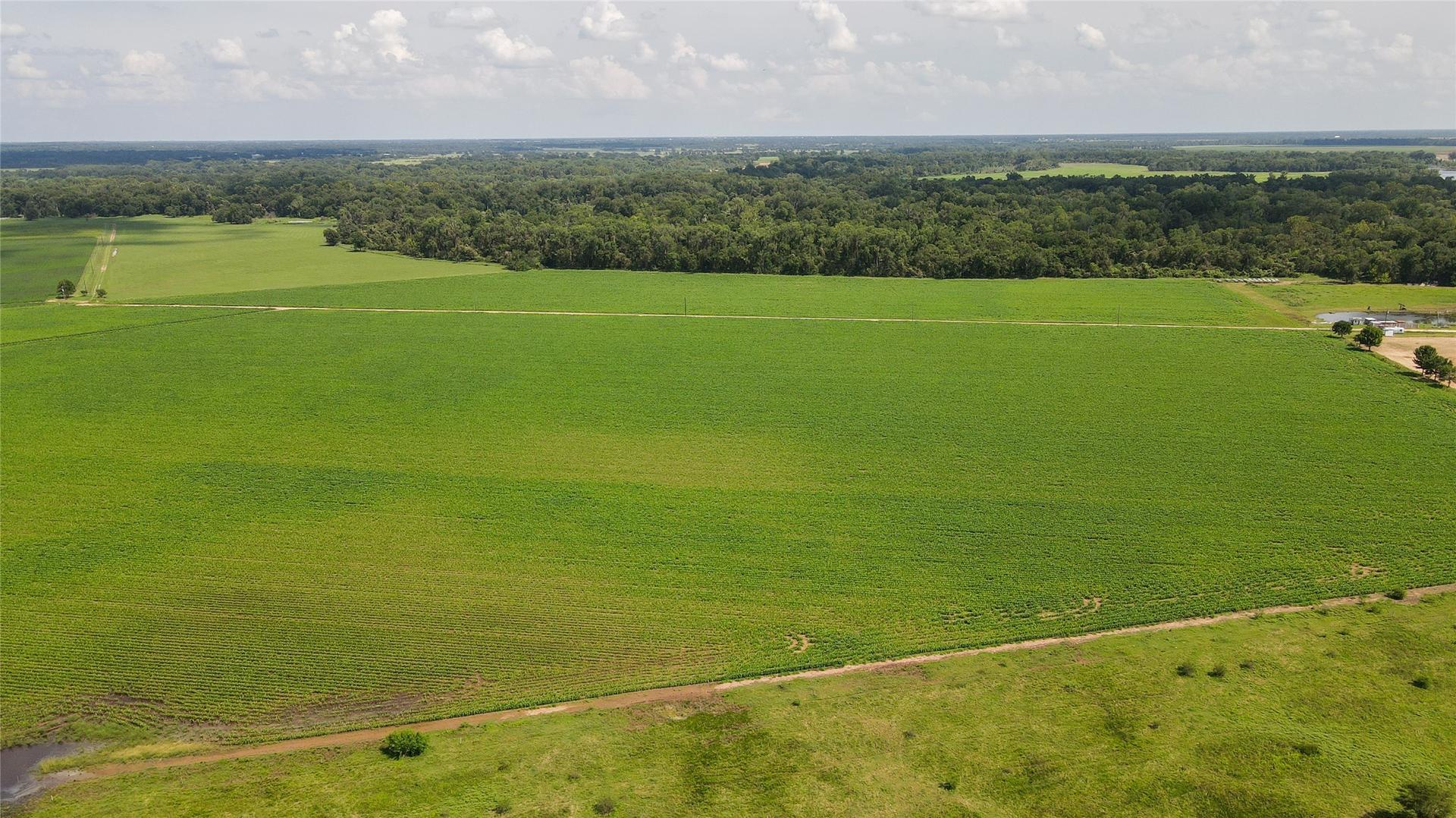 00 FM 2447, Chappell Hill, TX, 77426