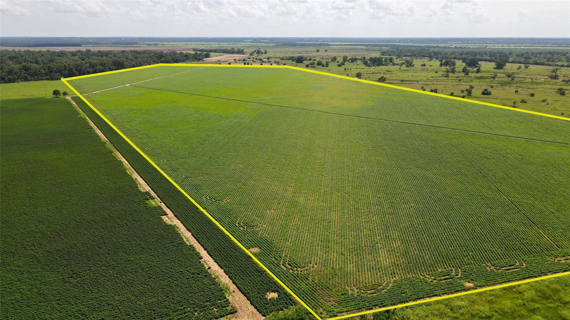 00 FM 2447, Chappell Hill, TX, 77426