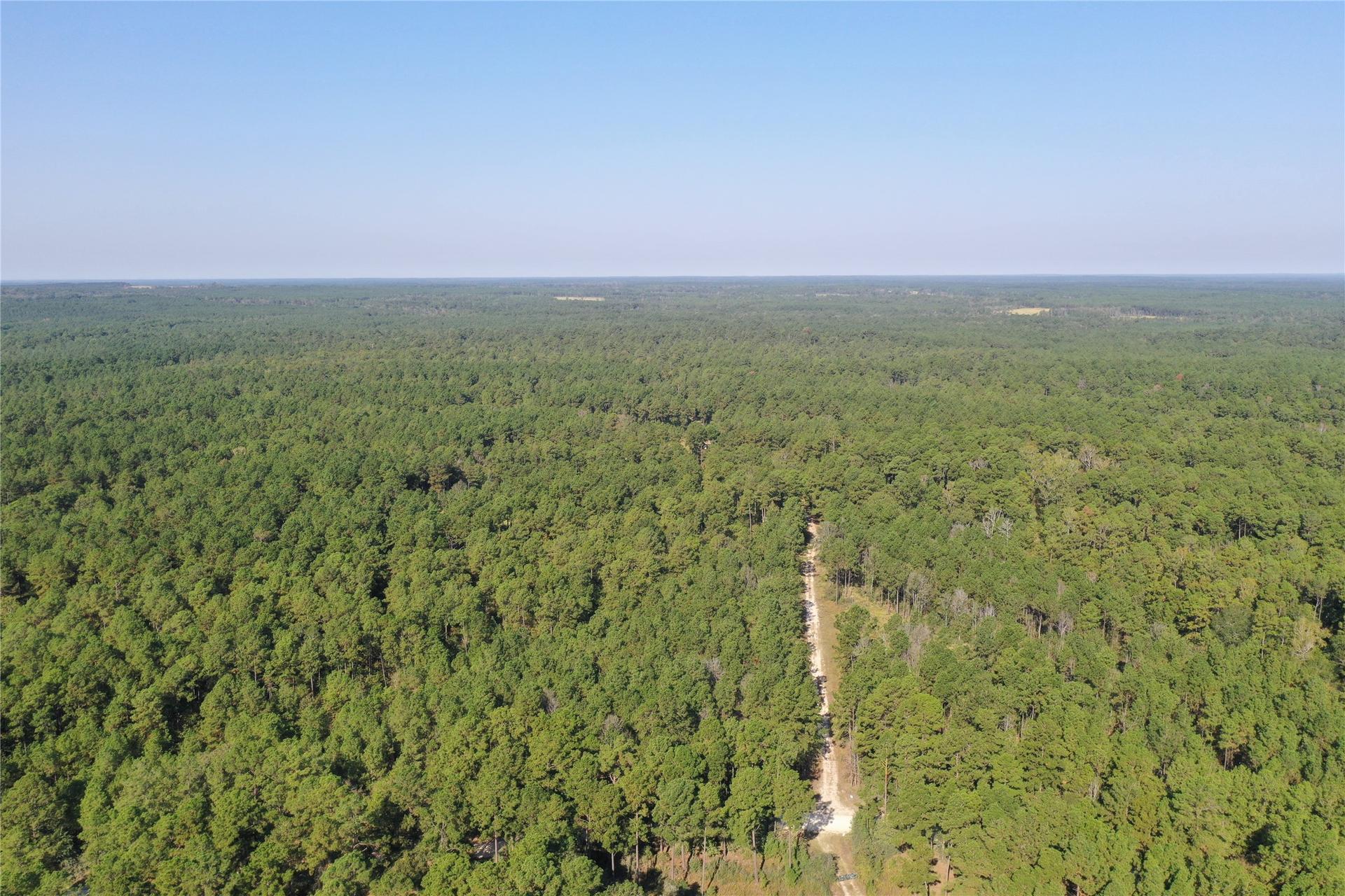 Tract 2 TrinityLady Park, Trinity, TX, 75862