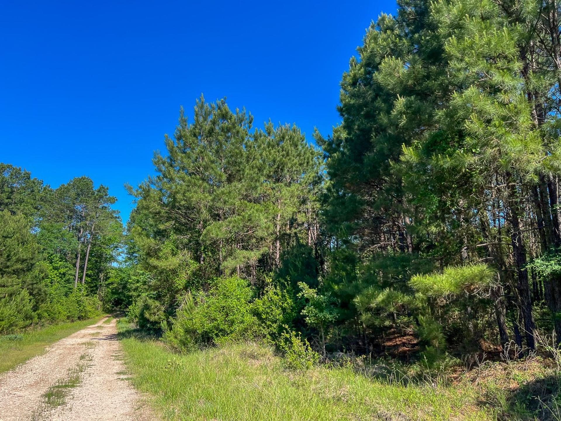 T-1 FM 355 Eliot, Groveton, TX, 75845