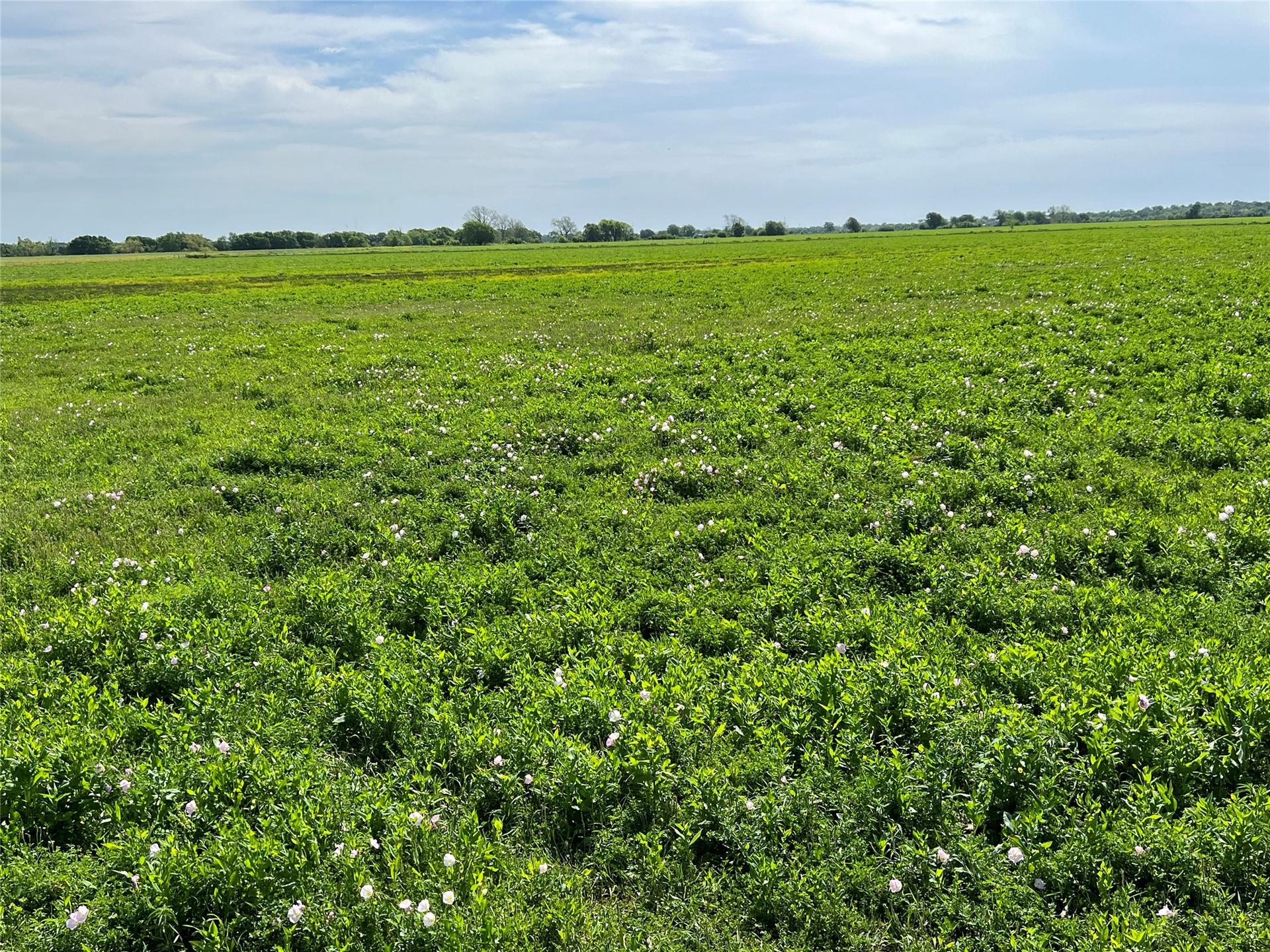 31555 FM 159, Navasota, TX, 77868