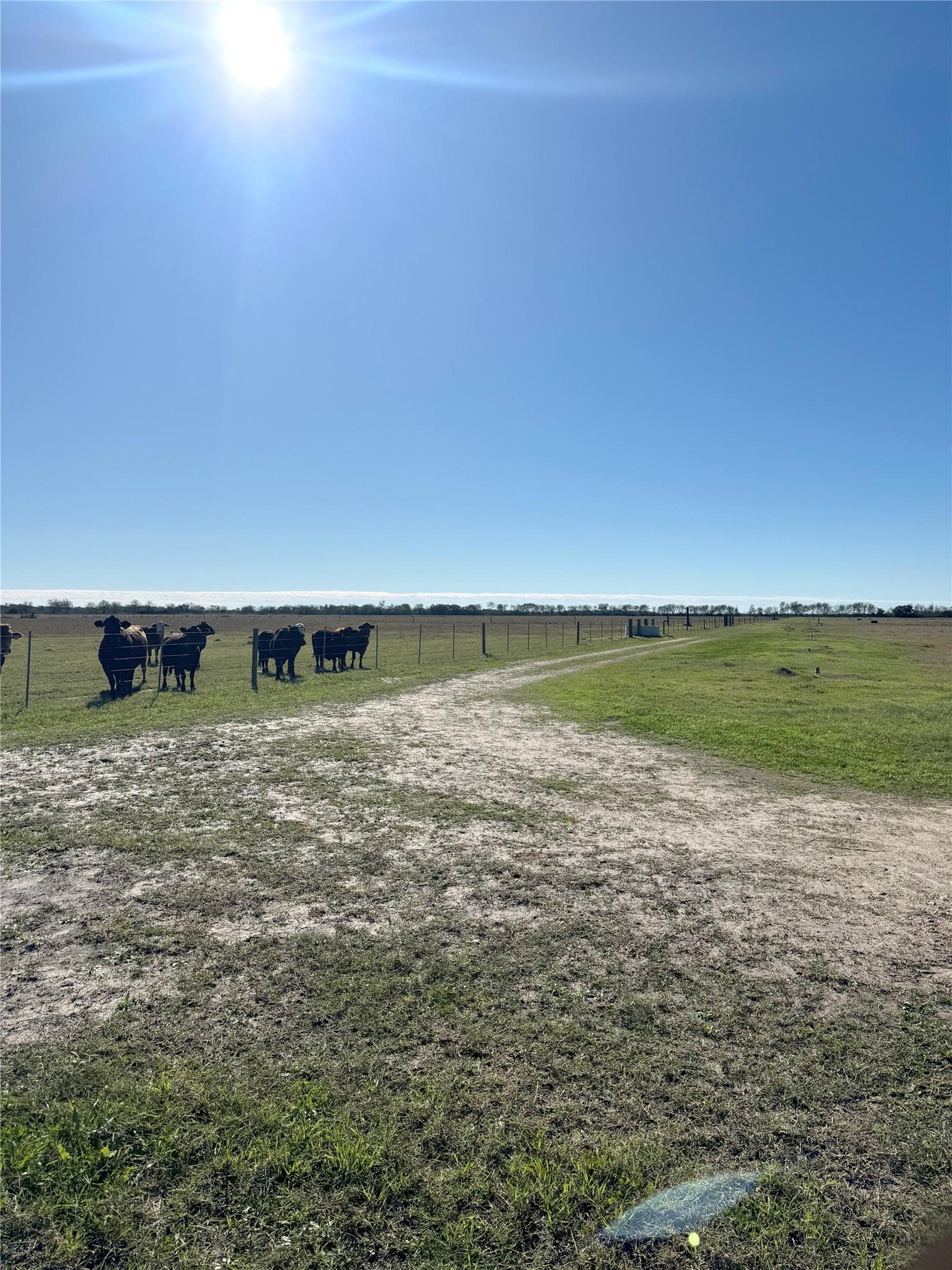 00 County Road 312, Louise, TX, 77455
