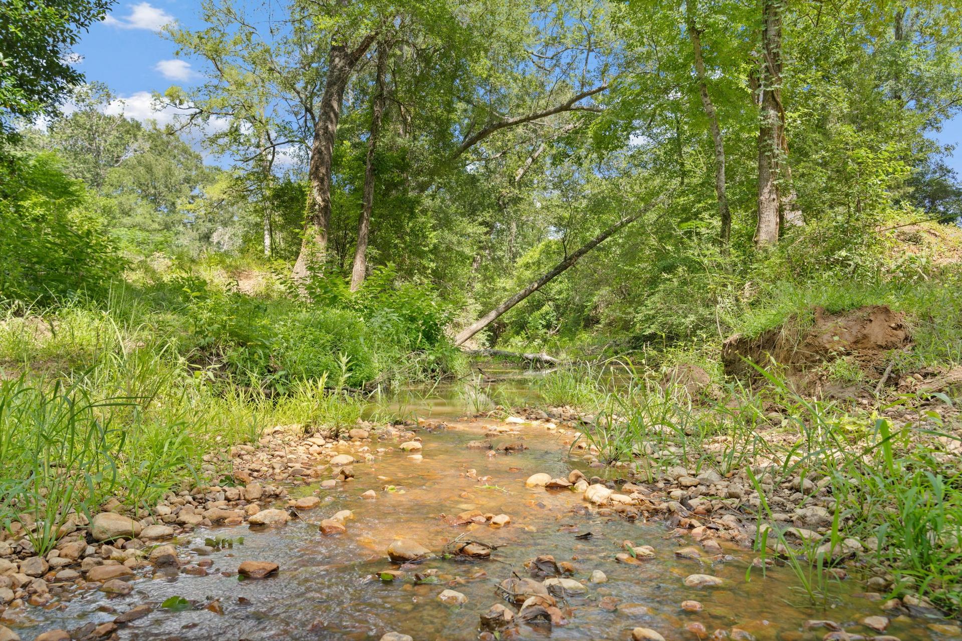 TBD (Tracts 11 & 12) St Delight, Paige, TX, 78659