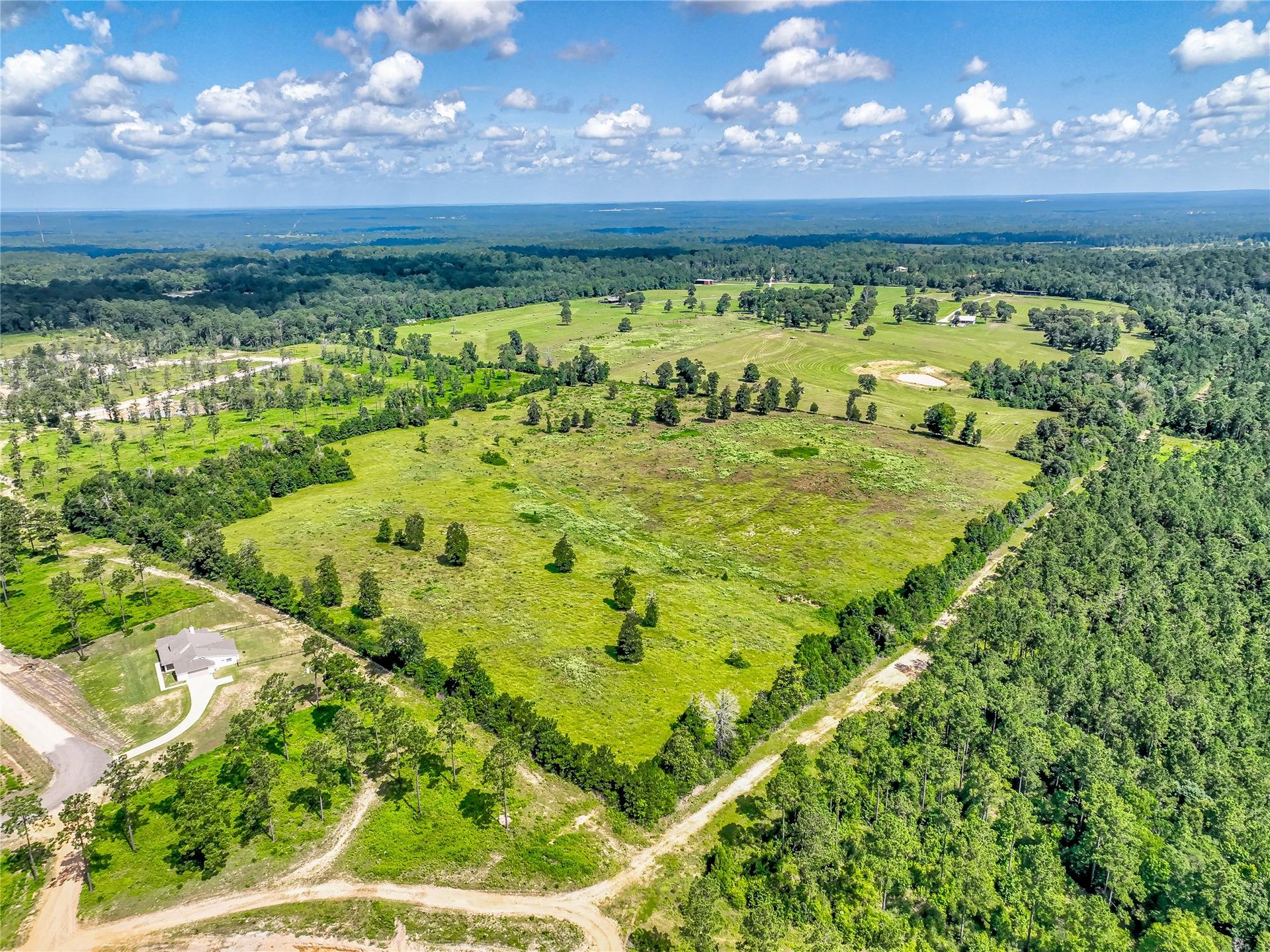 316 Barn N, Livingston, TX, 77351