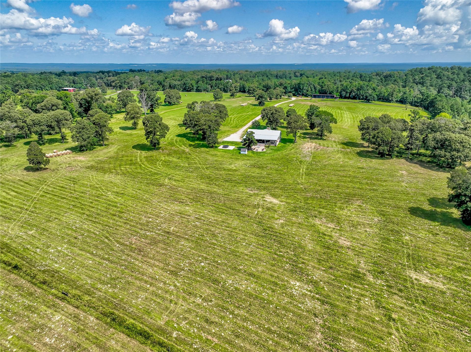 316 Barn N, Livingston, TX, 77351