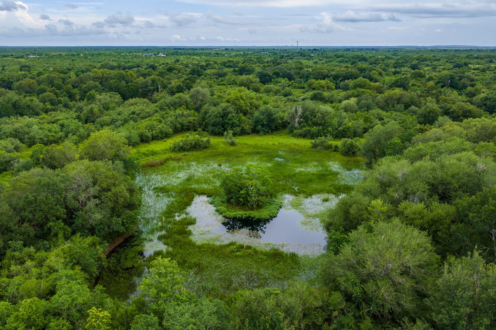 208 CR 208, Danbury, TX, 77534