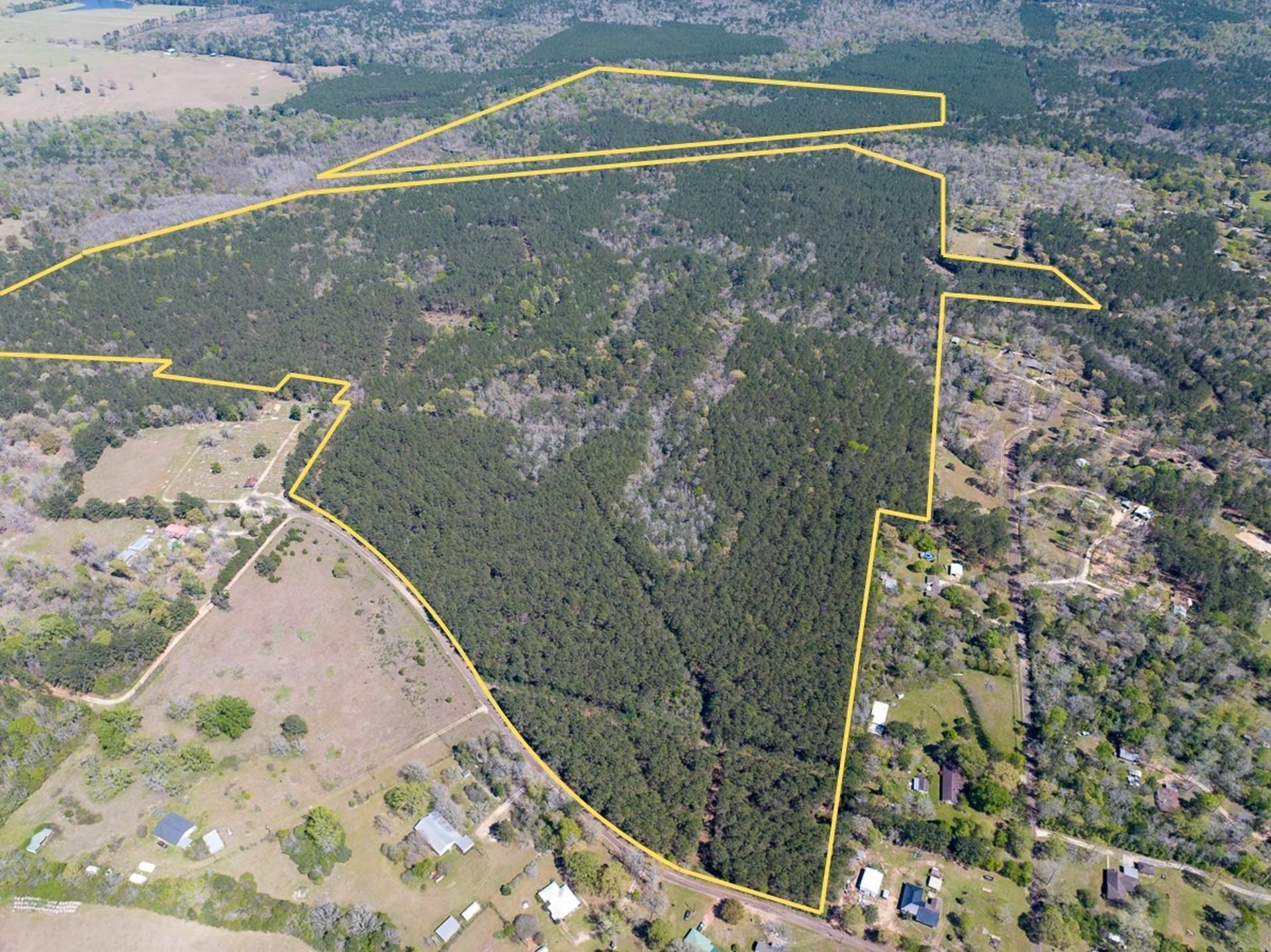526 Mount Pisgah Road, Woodville, TX, 75979