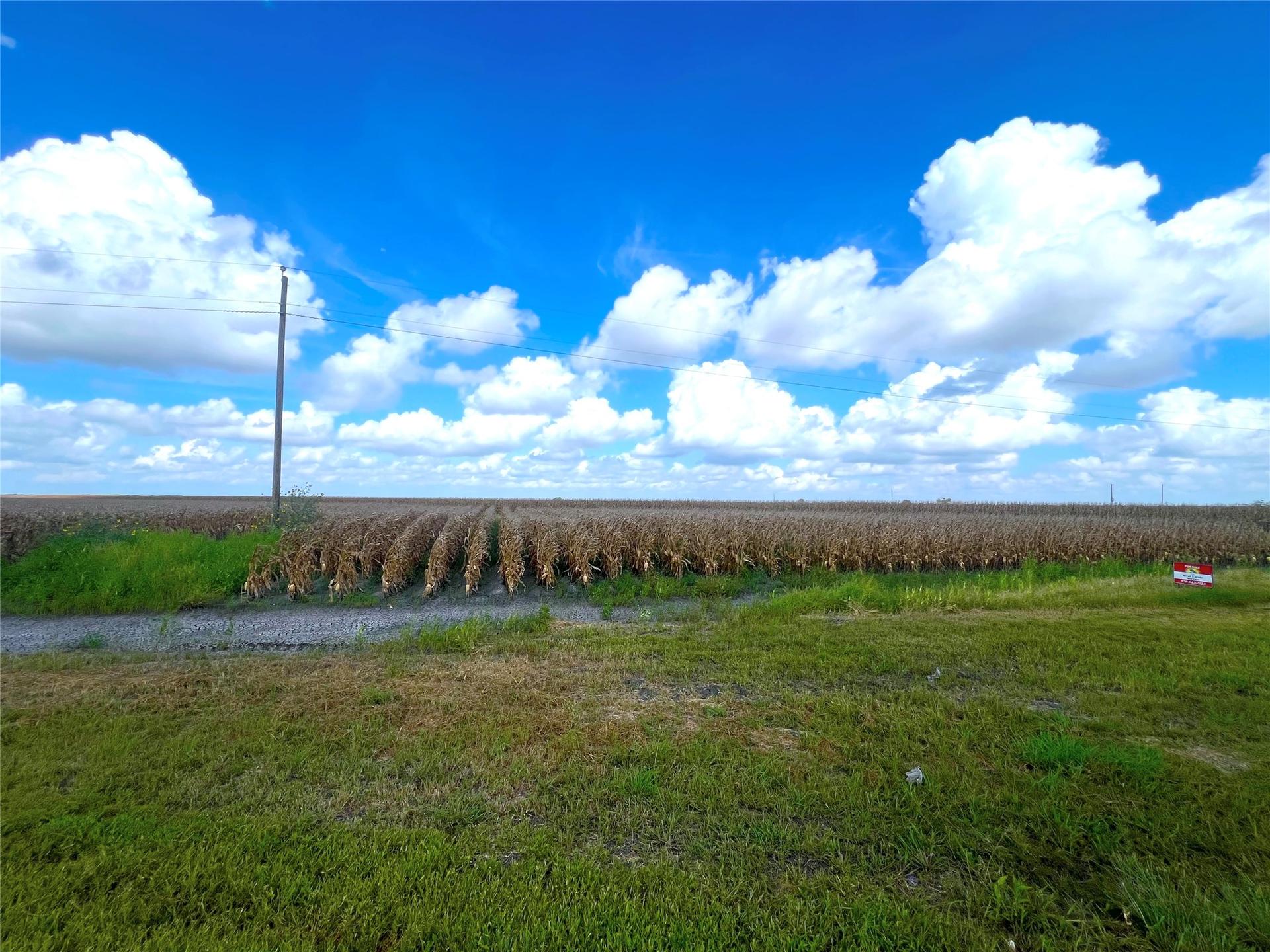 0 Fm 458, Midfield, TX, 77458