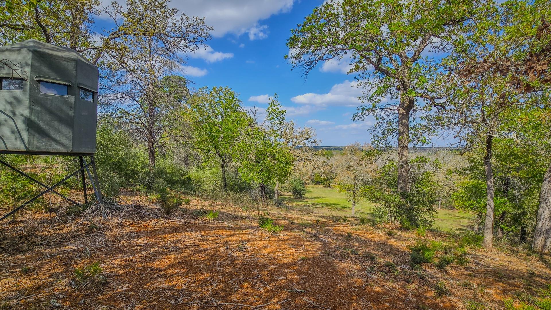 TBD County Road 412, Lexington, TX, 78947