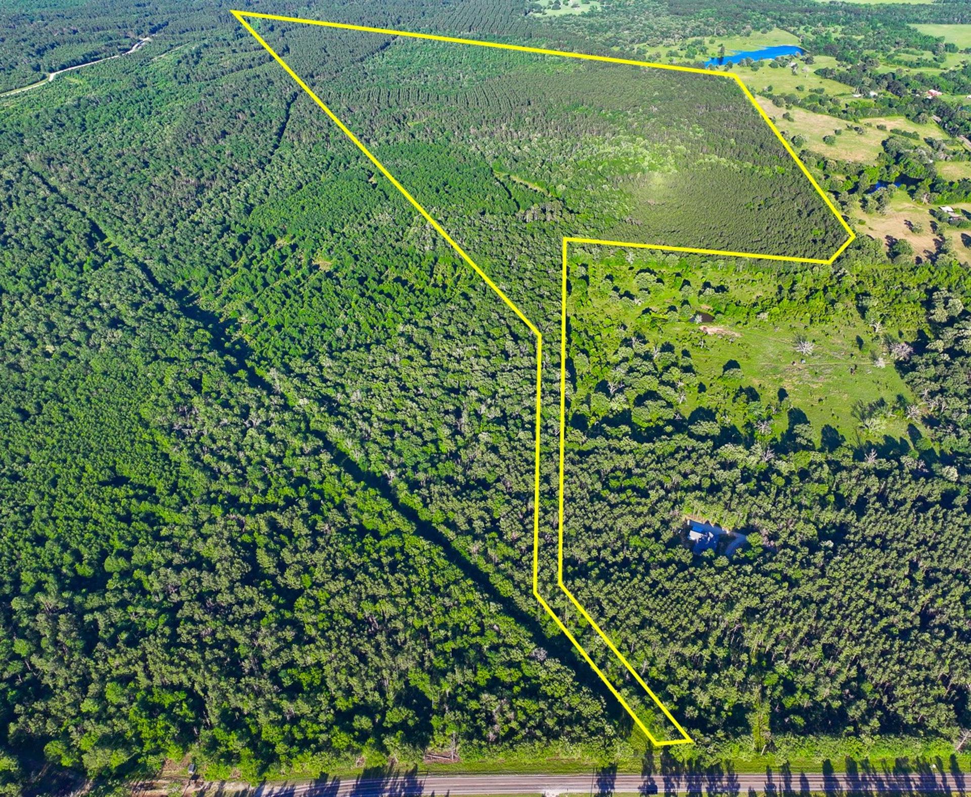000 FM 230, Lovelady, TX, 75851
