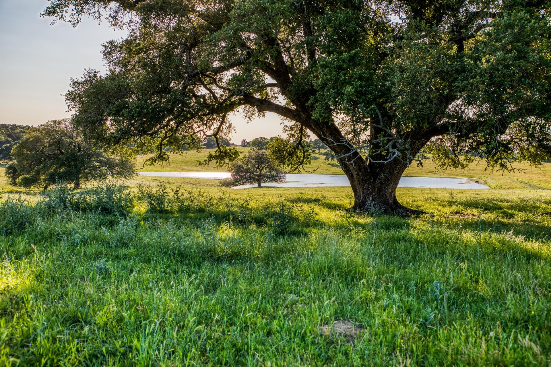 7000 Farm to Market Road 332, Brenham, WA, 77833